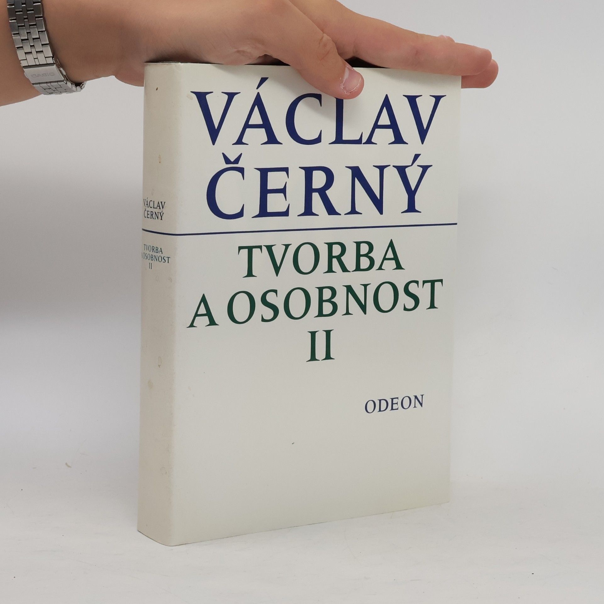 Tvorba a osobnost II