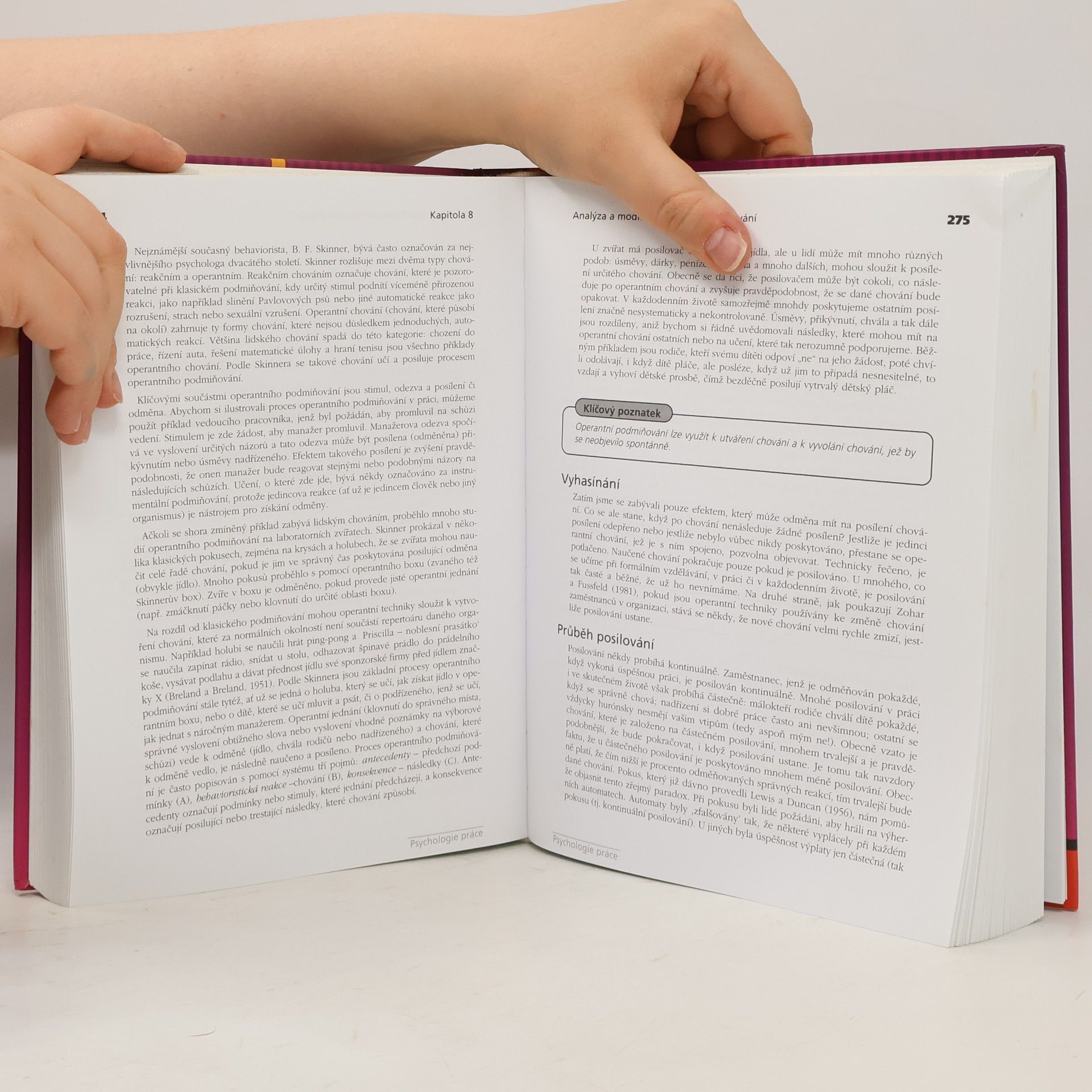 Autorenkollektiv Psychologie práce