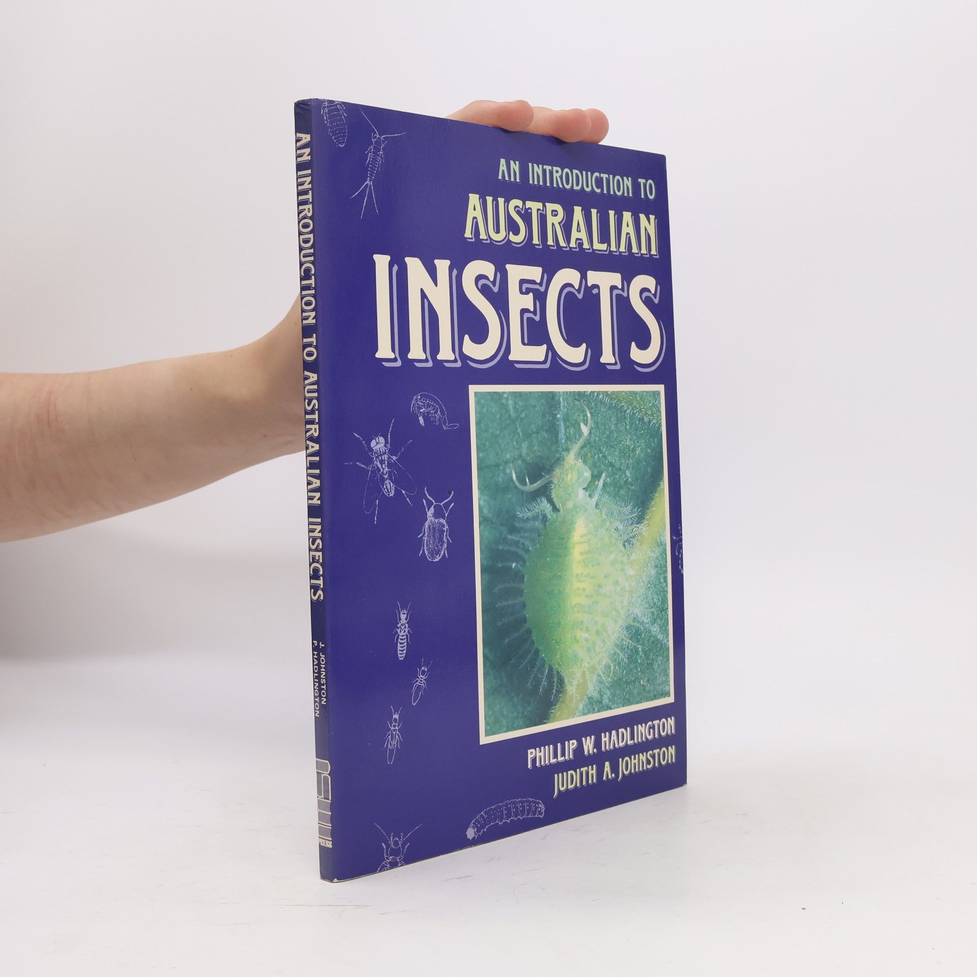 Judith A. Johnston Introduction to Australian Insects