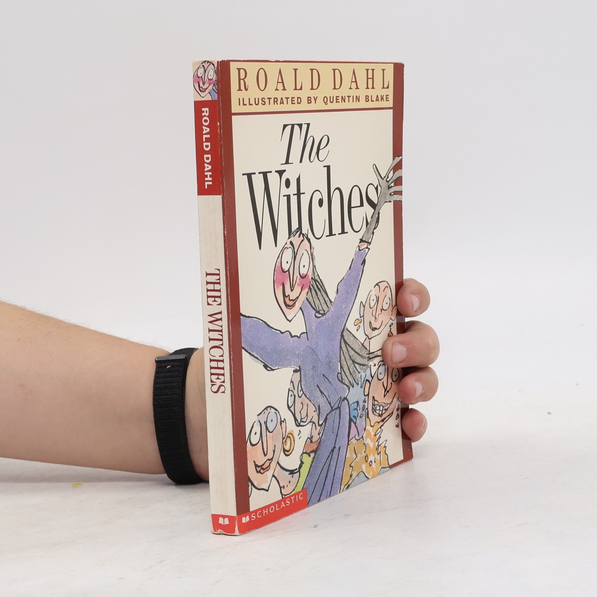 Roald Dahl The Witches