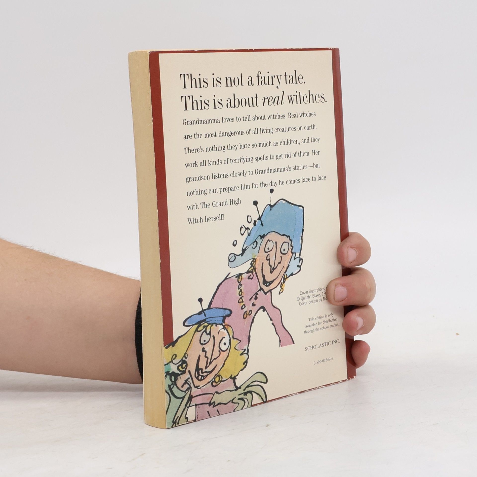 Roald Dahl The Witches