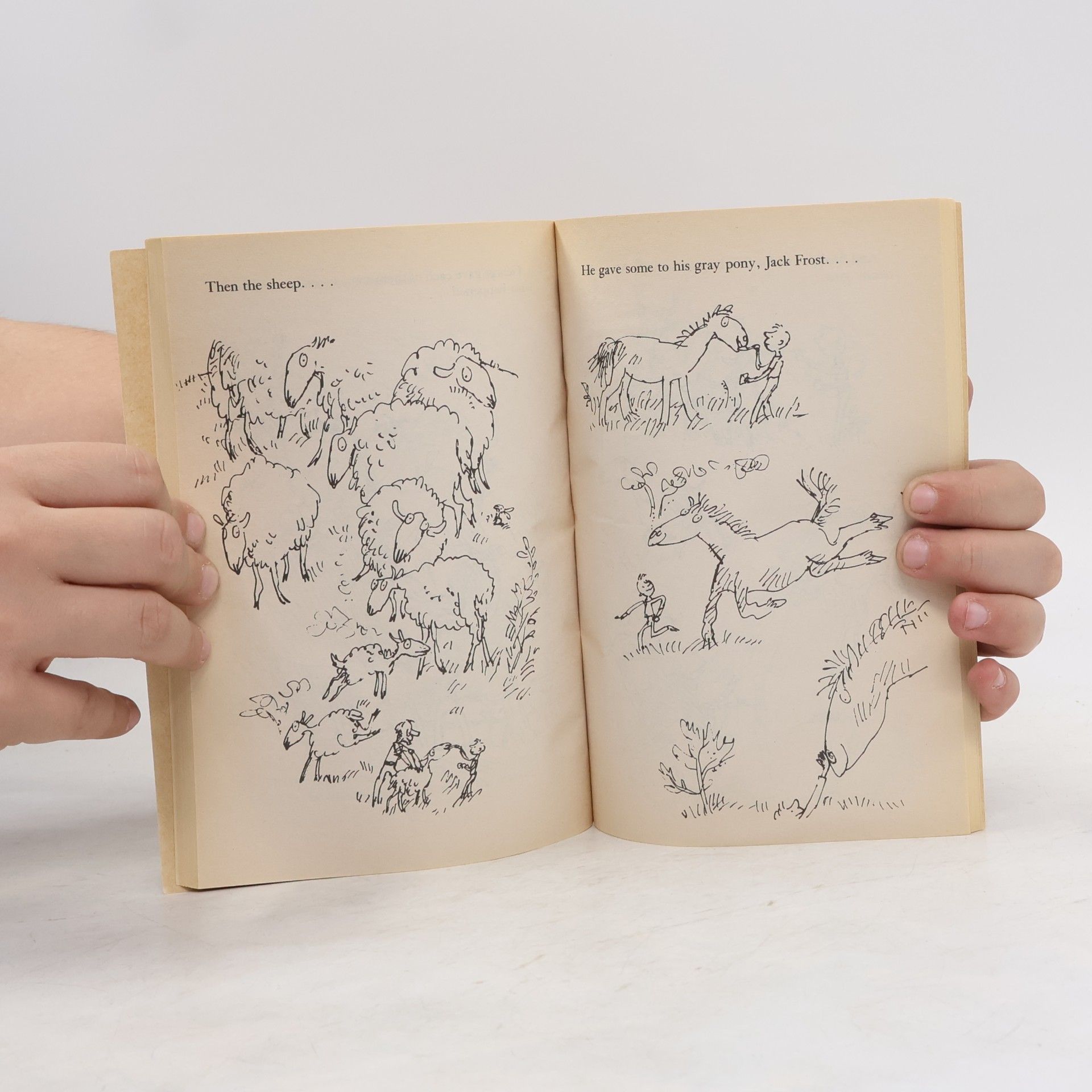 Roald Dahl George's marvellous medicine