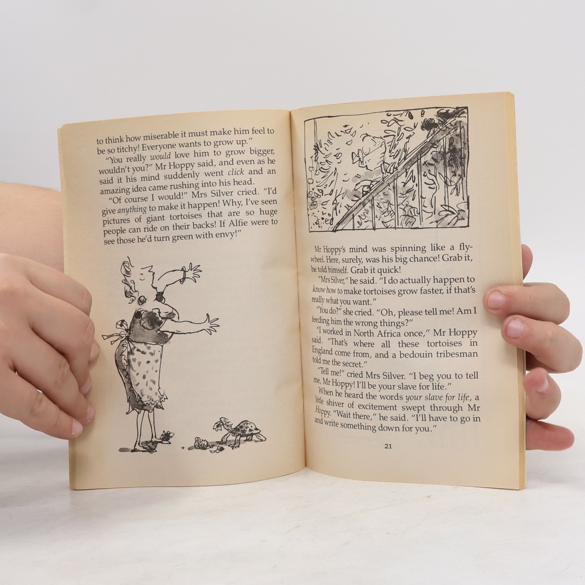 Roald Dahl Esio Trot