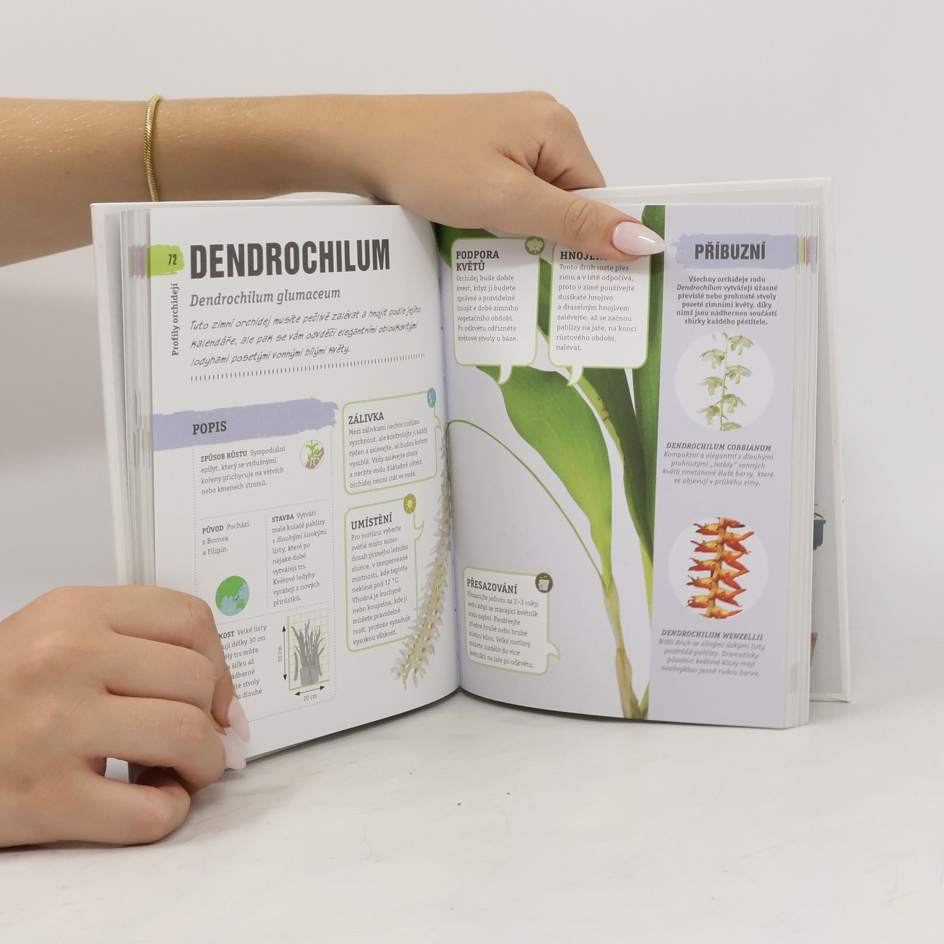 Sara Rittershausen Zdravé orchideje