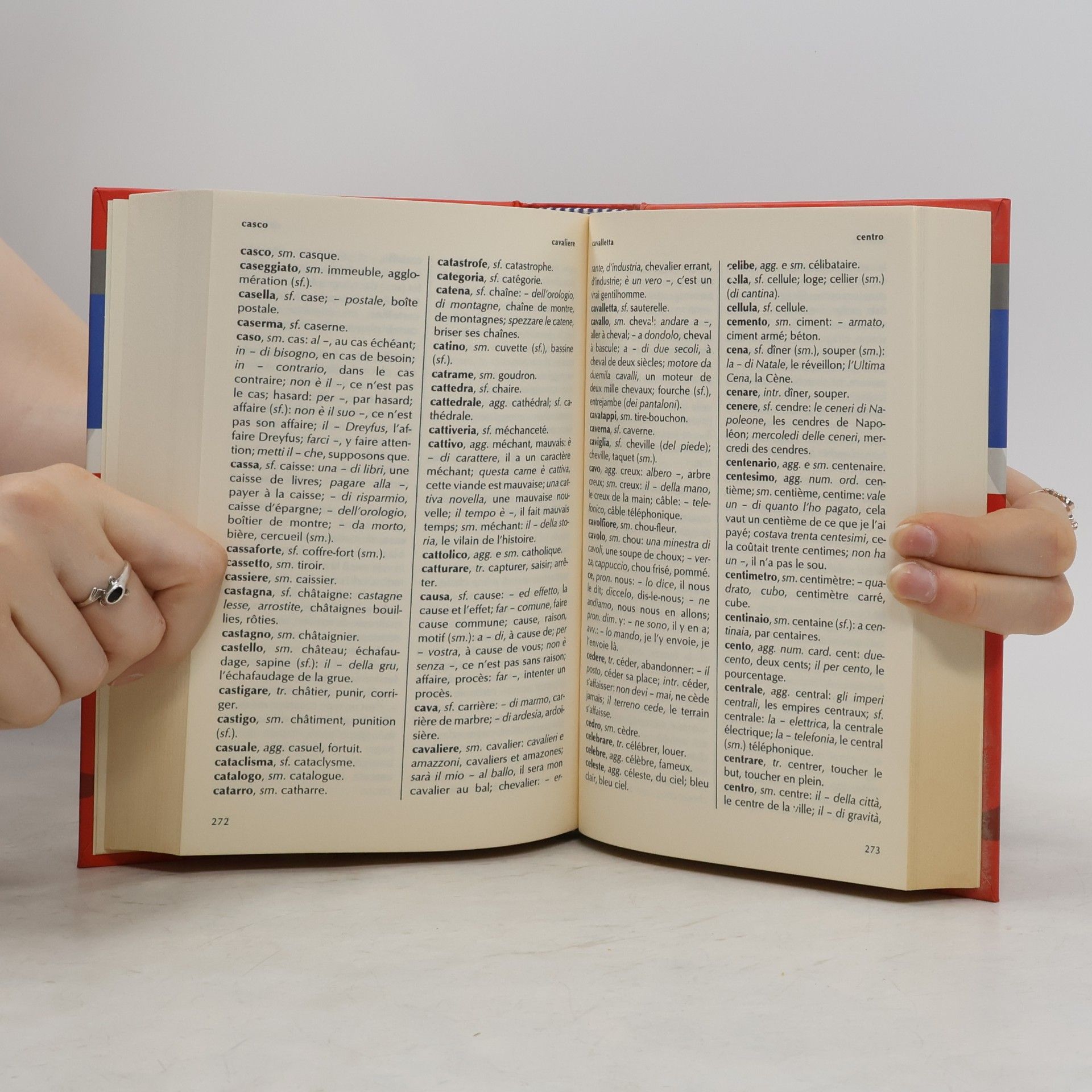 Dizionari medi: Dizionario francese
