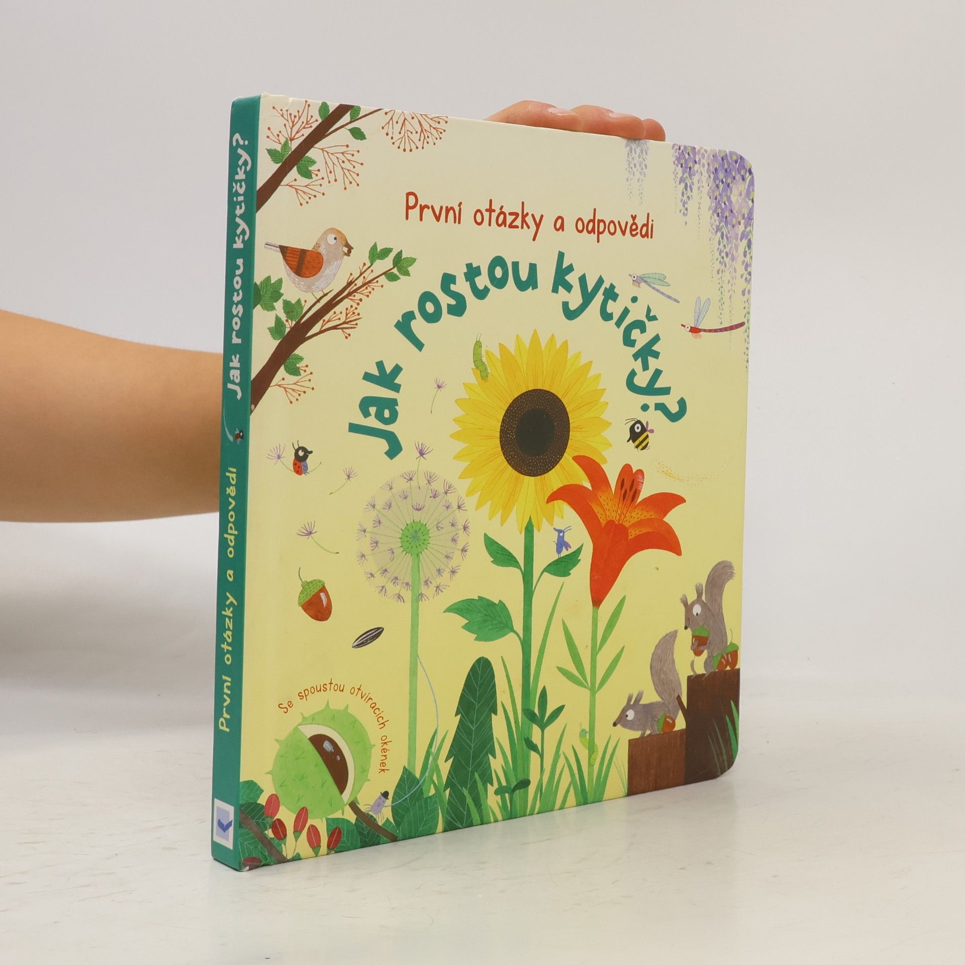 Katie Daynes Jak rostou kytičky?