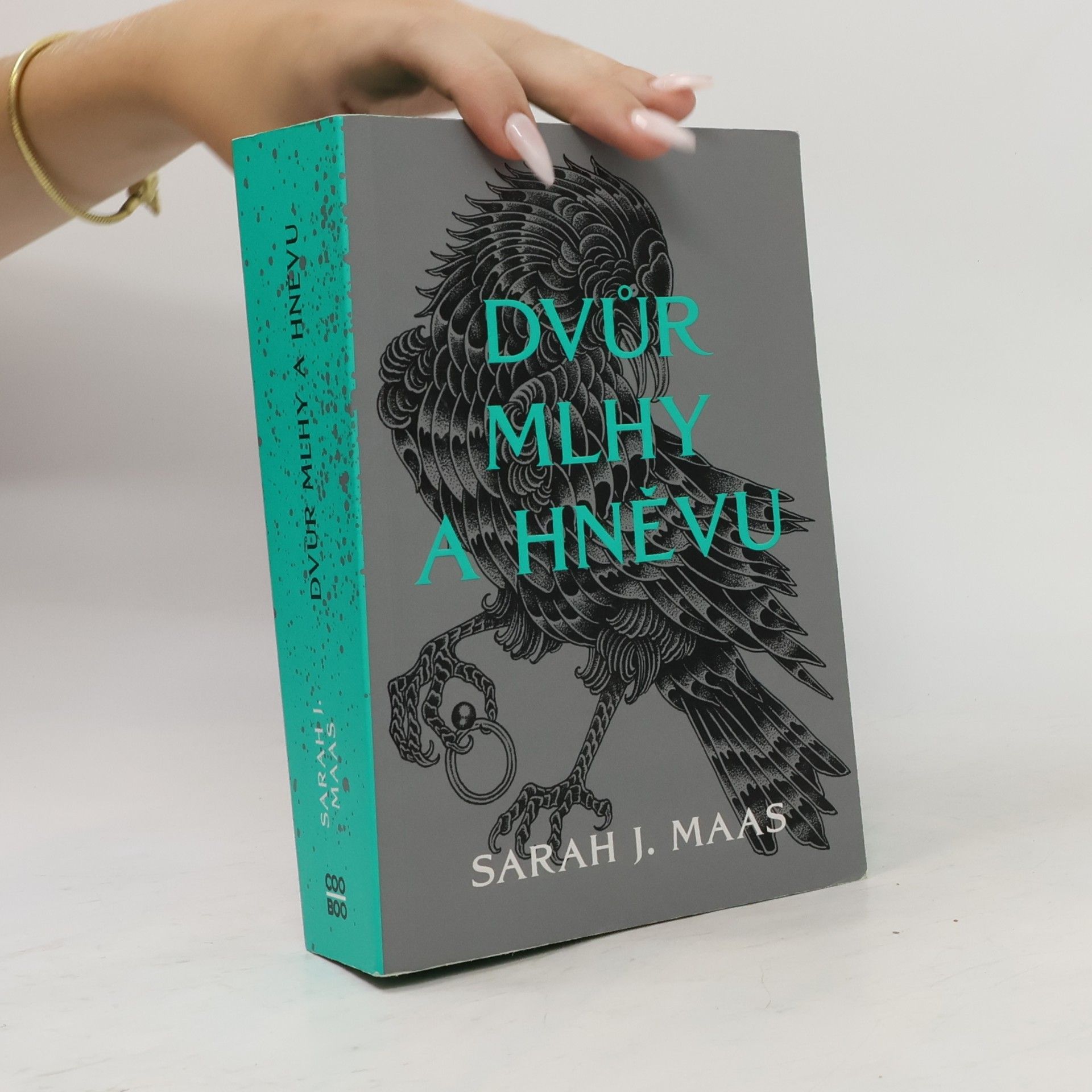 Sarah J. Maasová Dvůr mlhy a hněvu