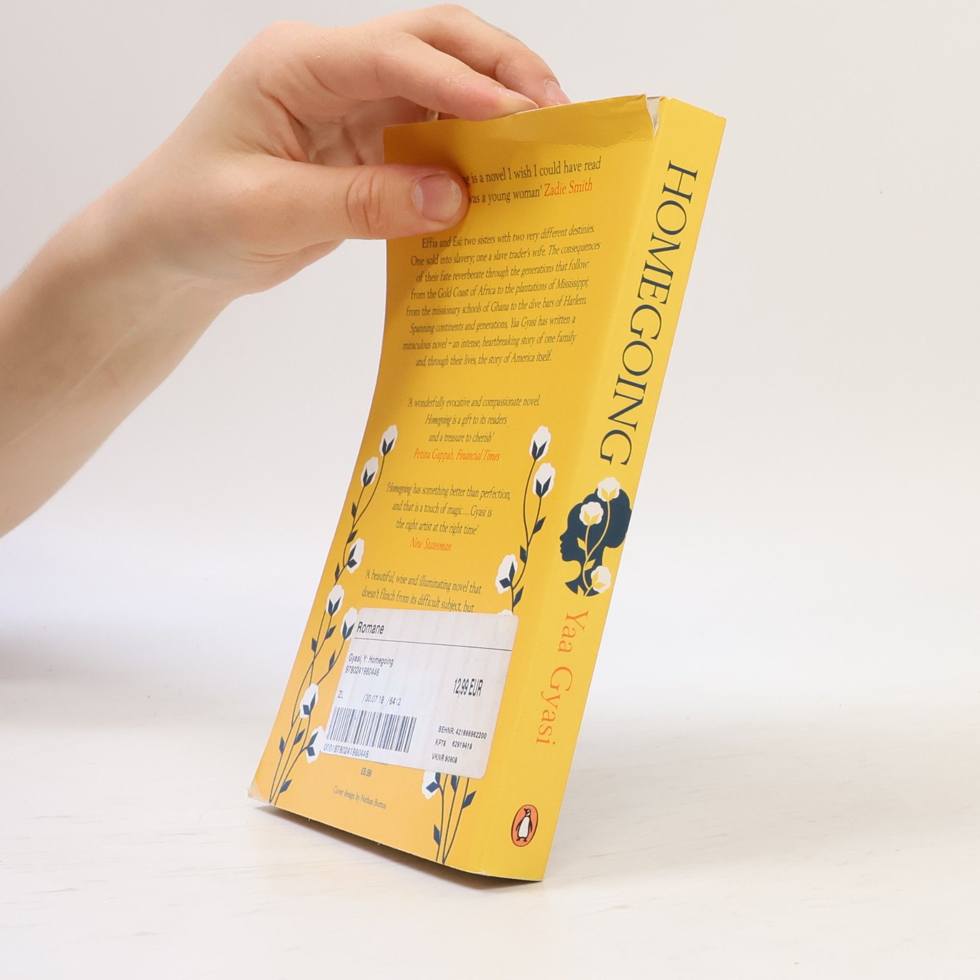 Yaa Gyasi Homegoing