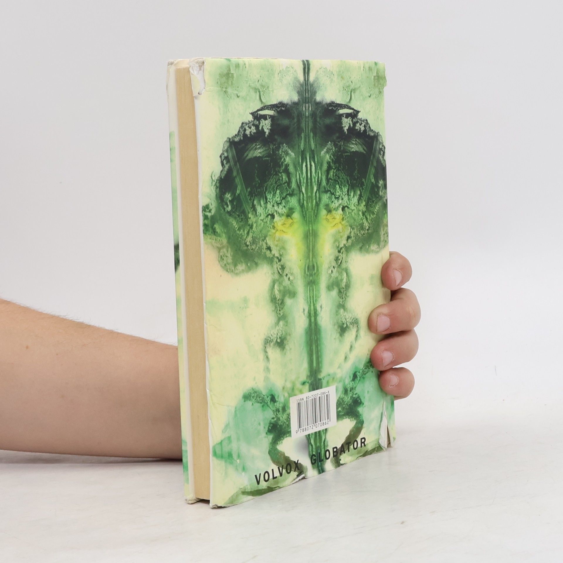 Carlos Castaneda Učení Dona Juana