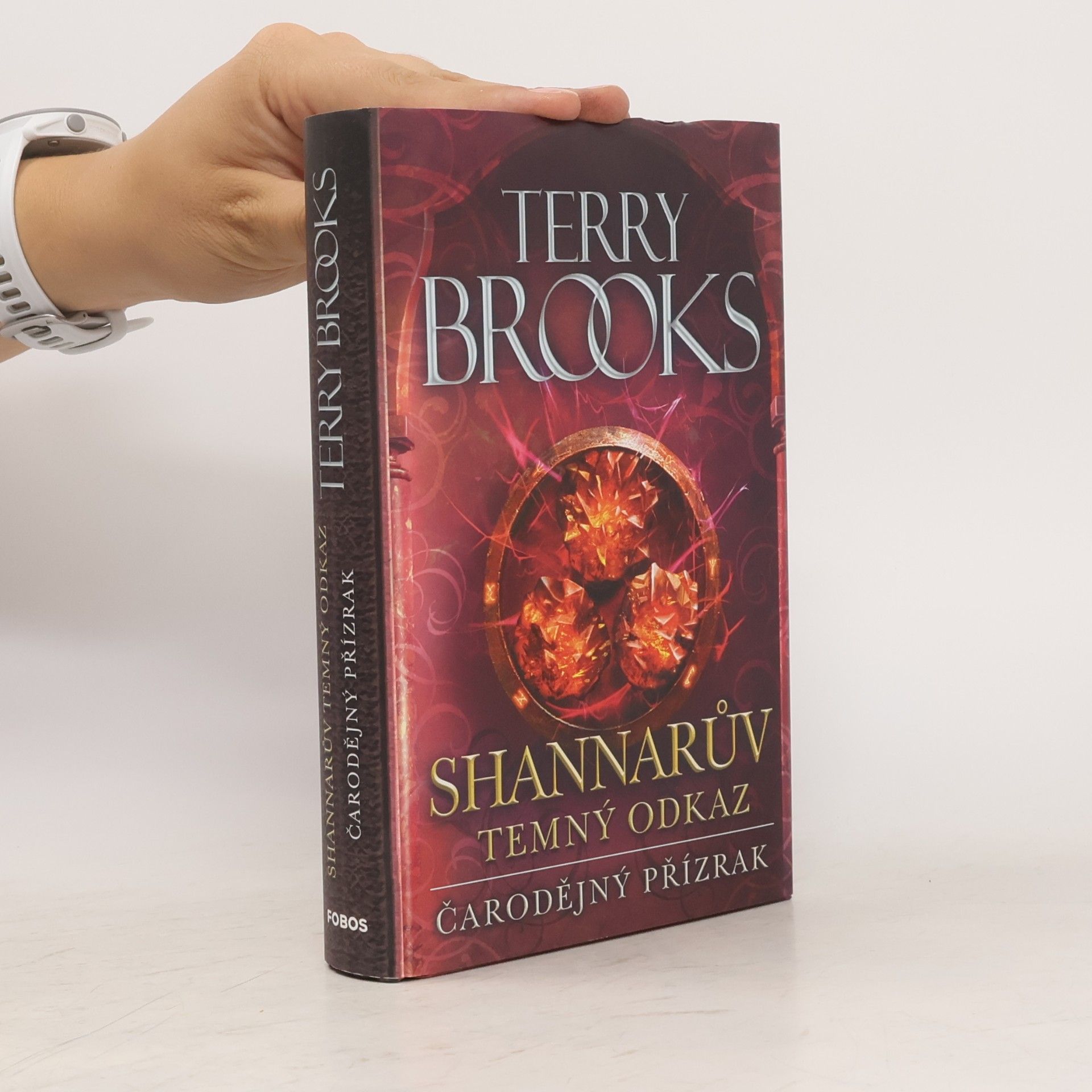 Terry Brooks Čarodějný přízrak