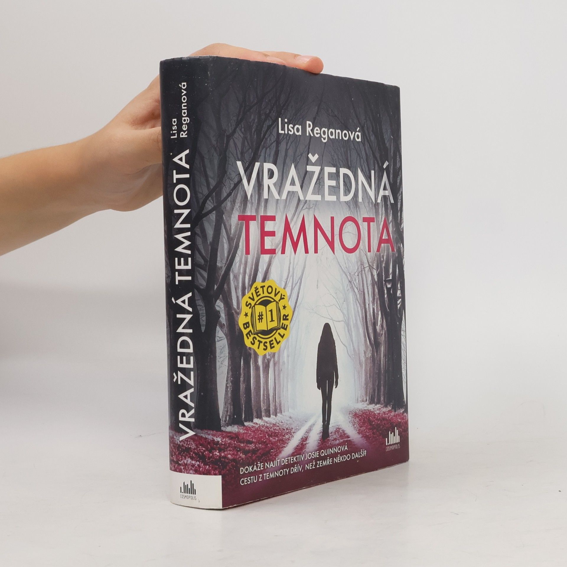 Lisa Regan Vražedná temnota