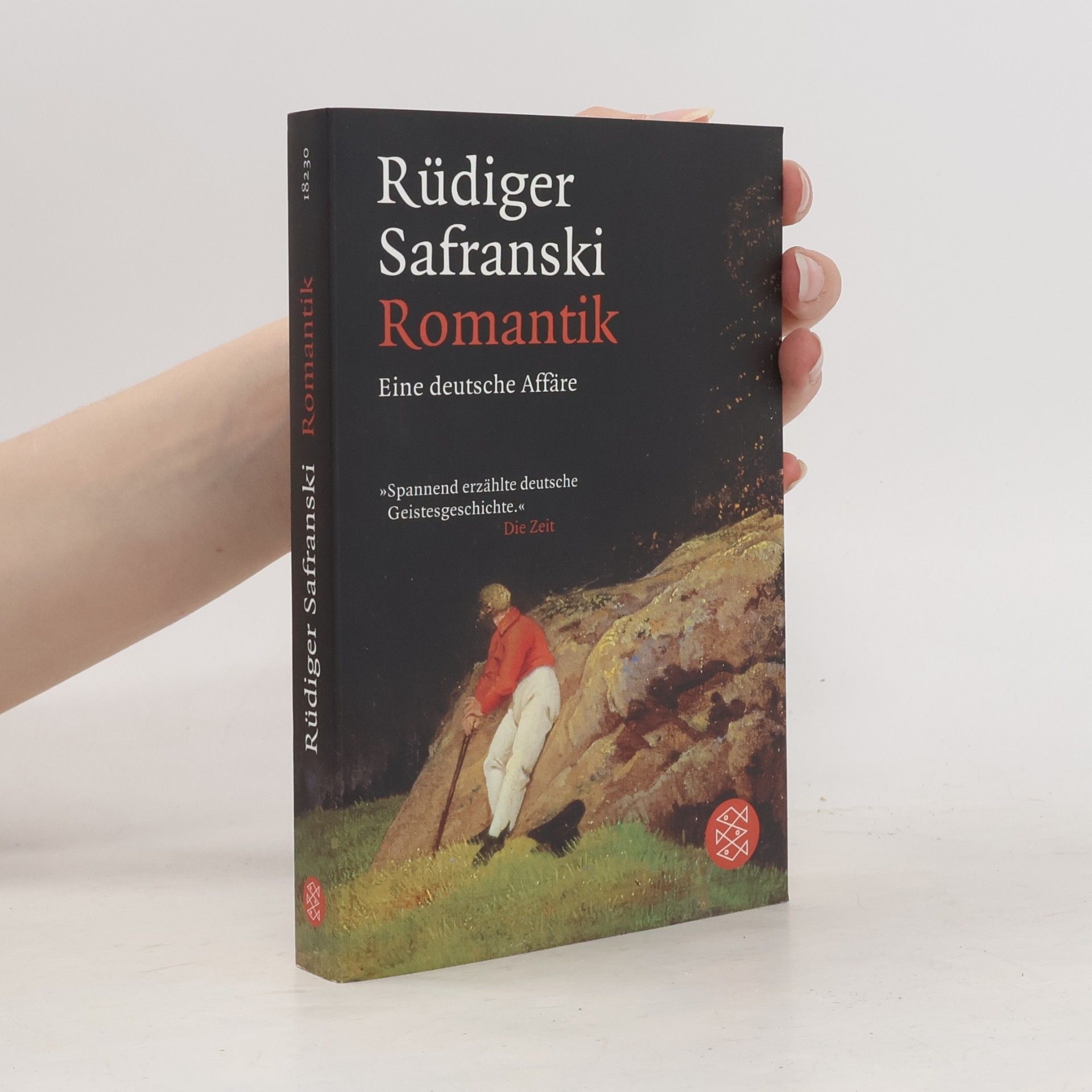 Rüdiger Safranski Romantik