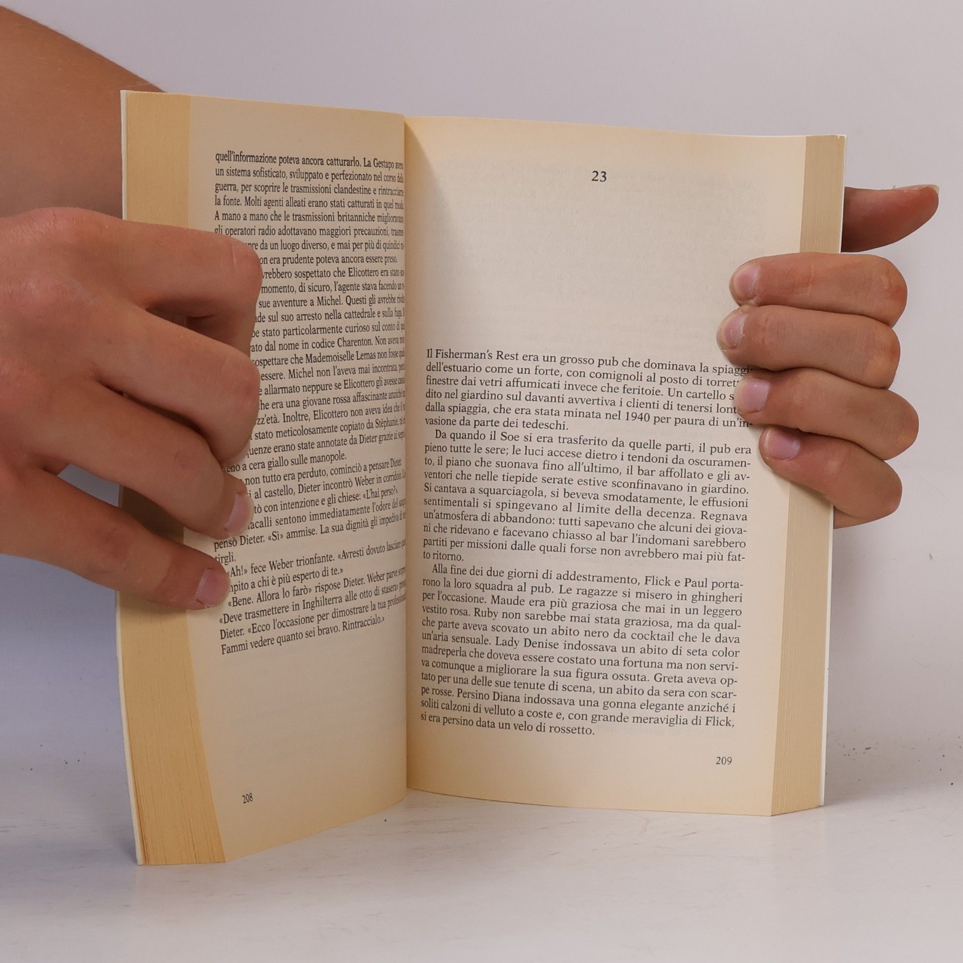 Annamaria Raffo Le gazze ladre