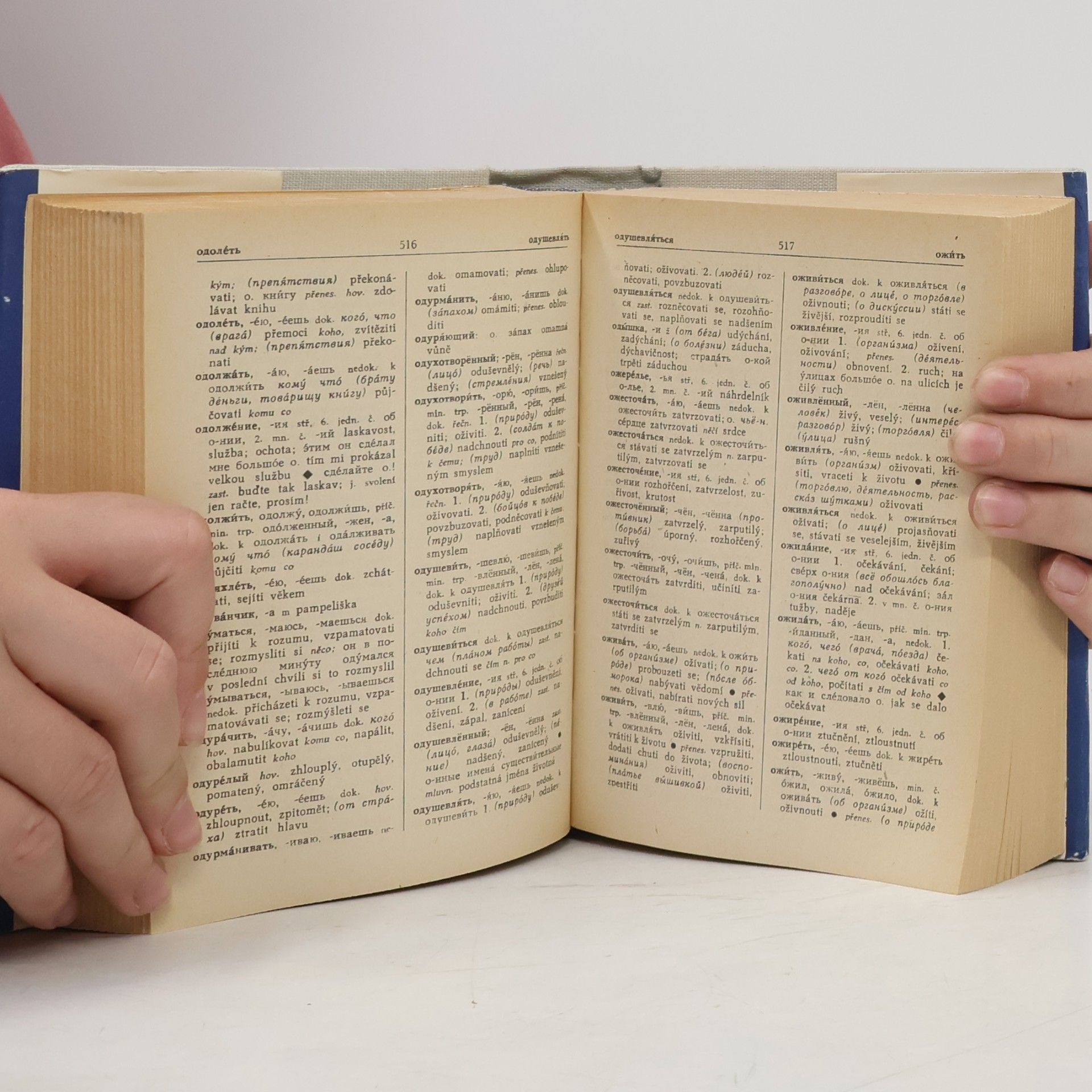 Autorenkollektiv Školní rusko-český slovník