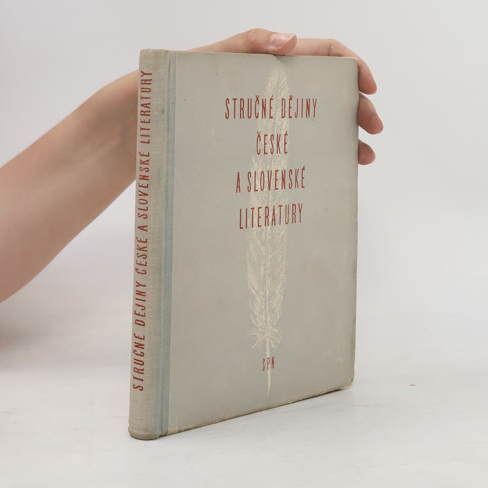 Vítězslav Tichý Stručné dějiny české a slovenské literatury