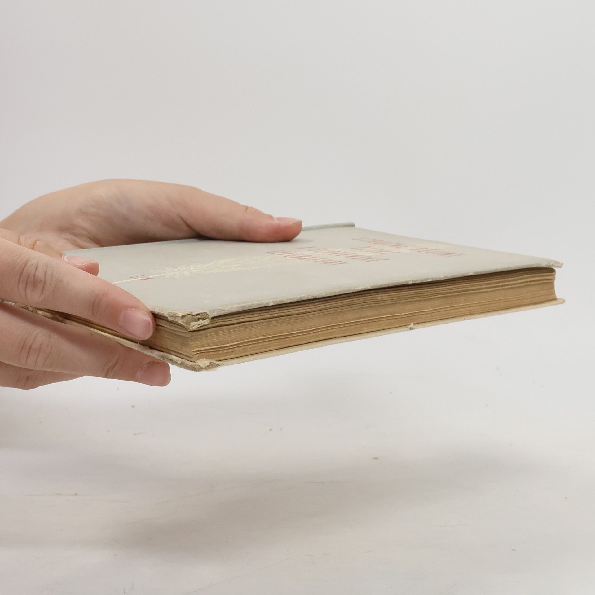 Vítězslav Tichý Stručné dějiny české a slovenské literatury