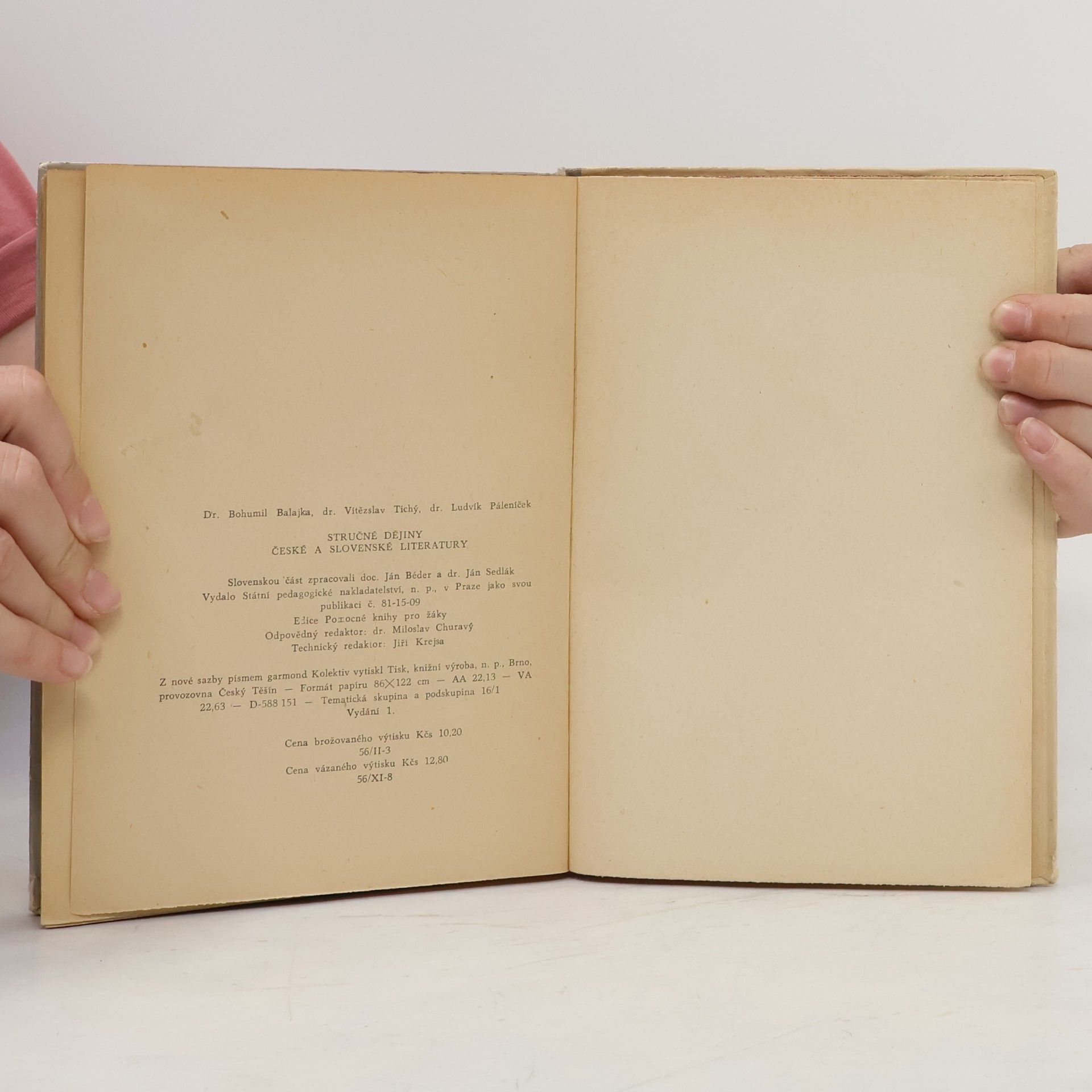 Vítězslav Tichý Stručné dějiny české a slovenské literatury