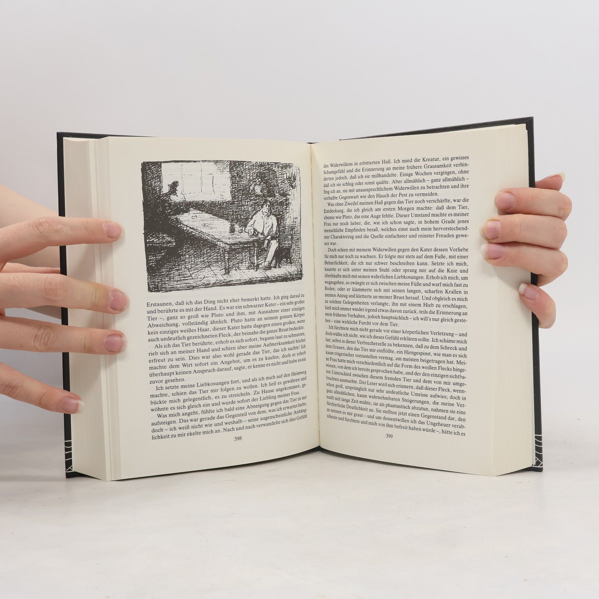 Edgar Allan Poe Phantastische Geschichten