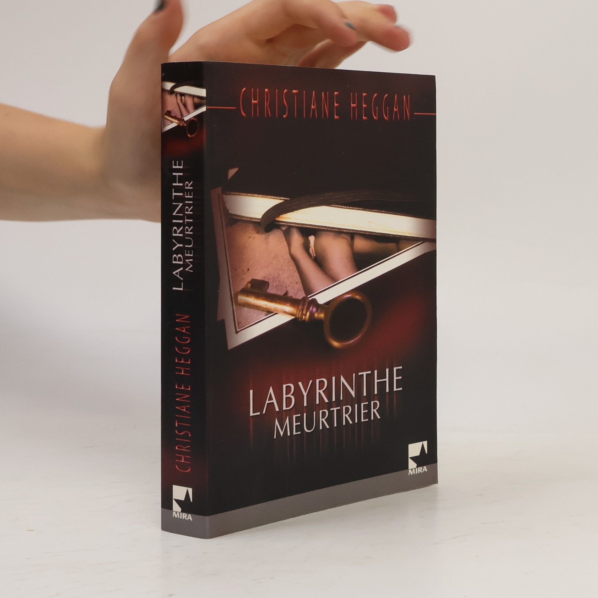 Christiane Heggan Labyrinthe meurtrier