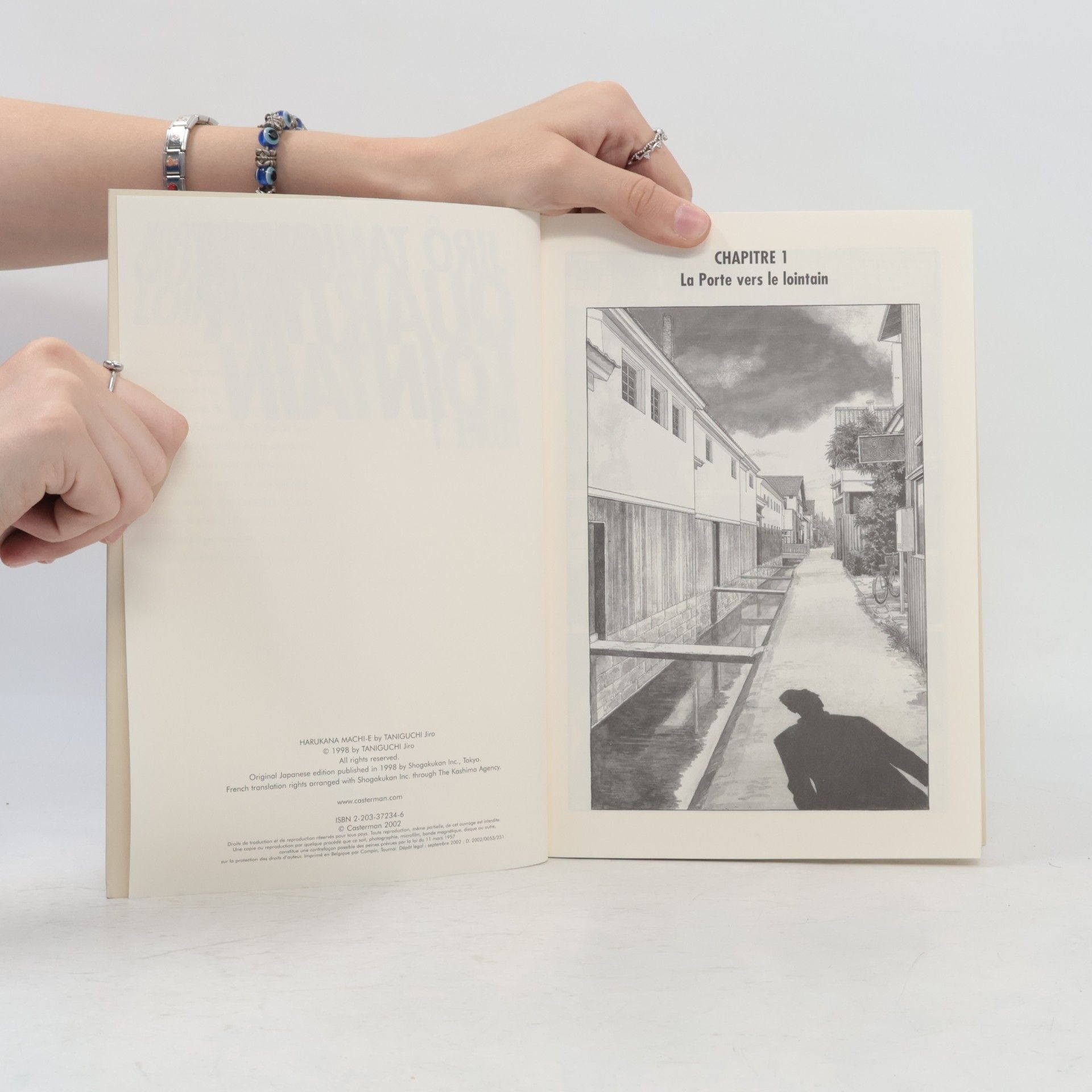 Jirō Taniguchi Quartier lointain