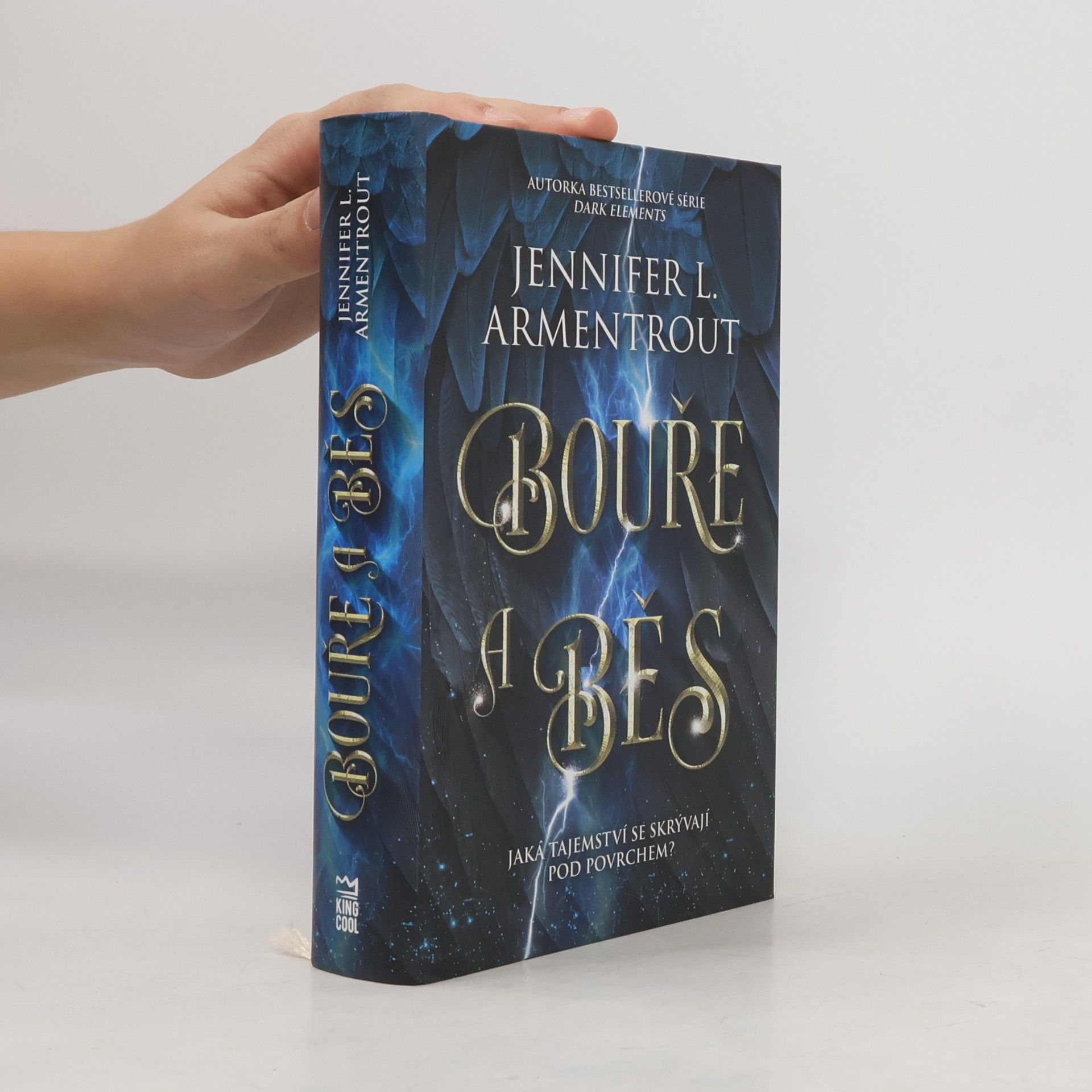 Jennifer L. Armentrout Bouře a běs