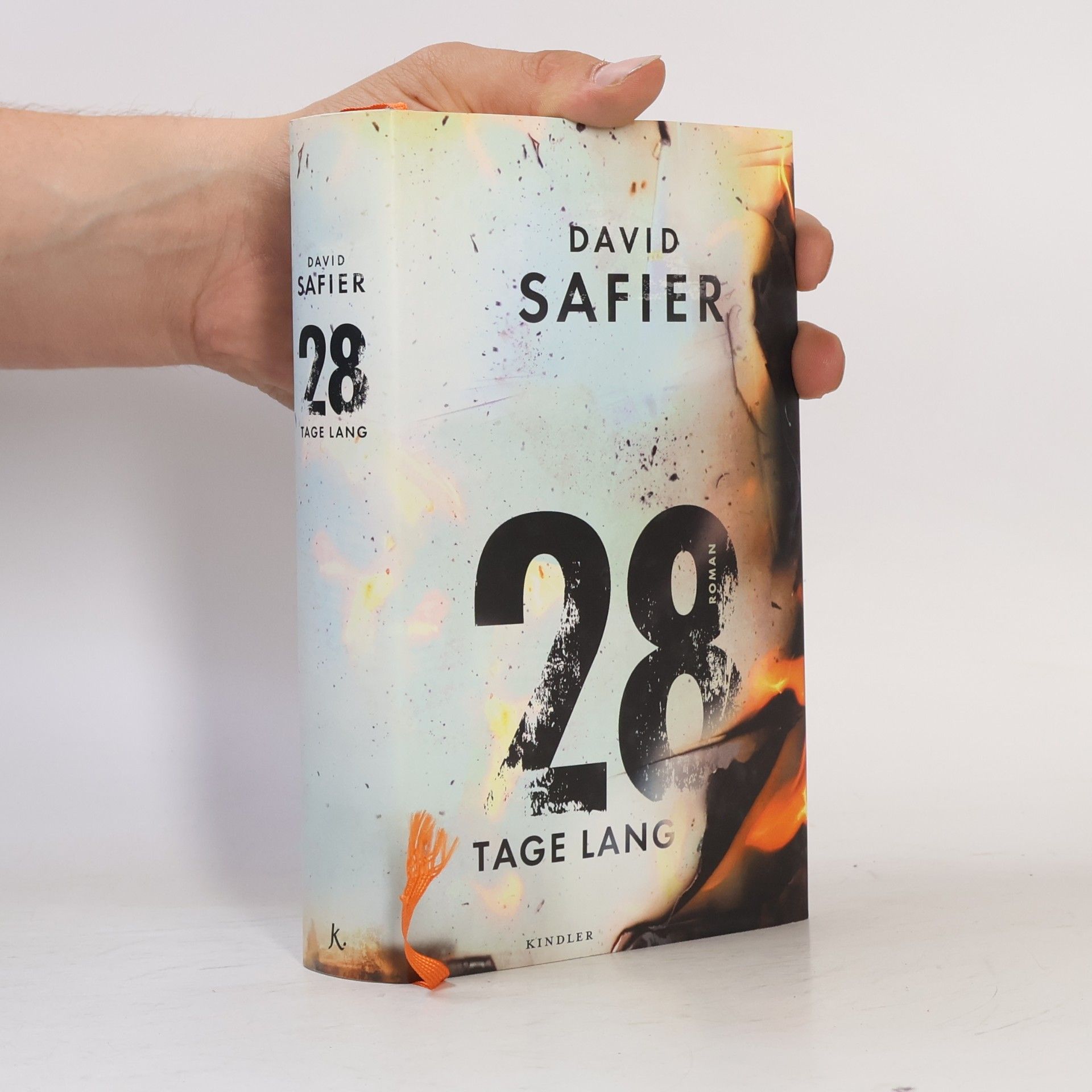 David Safier 28 Tage lang