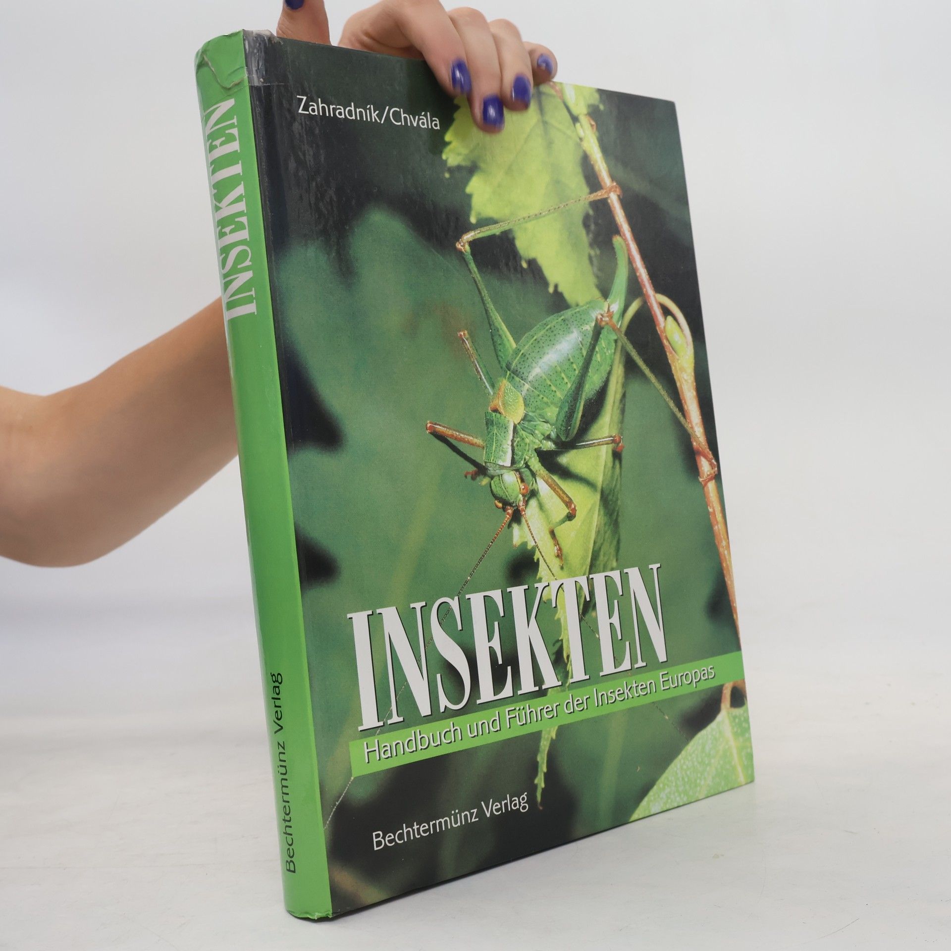 Autorenkollektiv Insekten