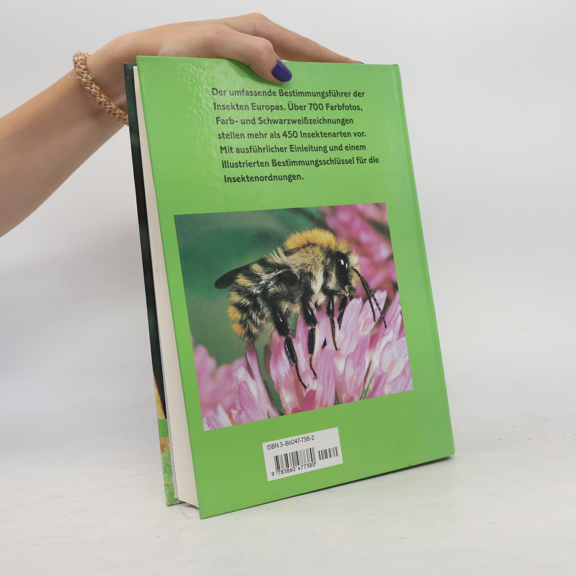 Autorenkollektiv Insekten