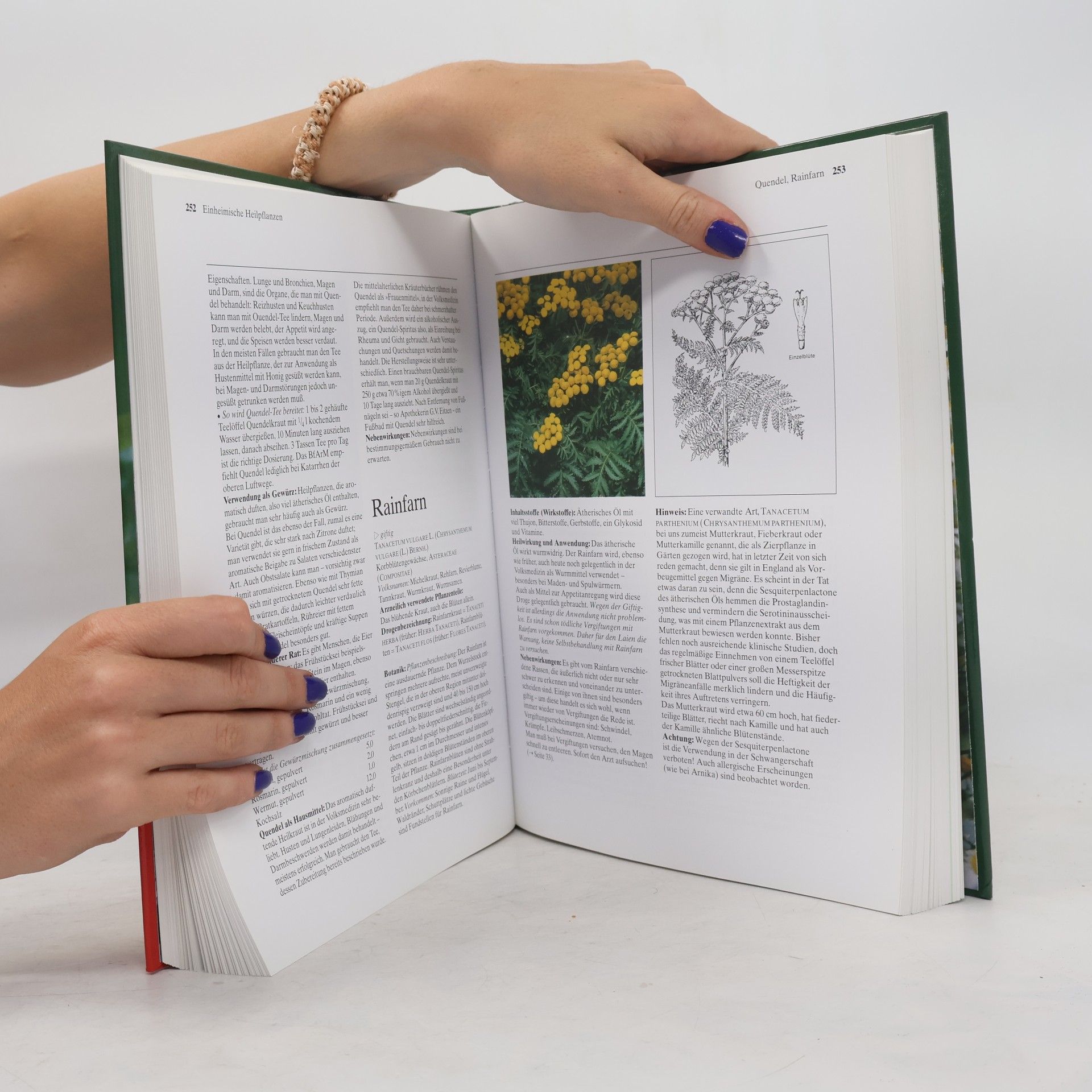 Mannfried Pahlow Das große Buch der Heilpflanzen