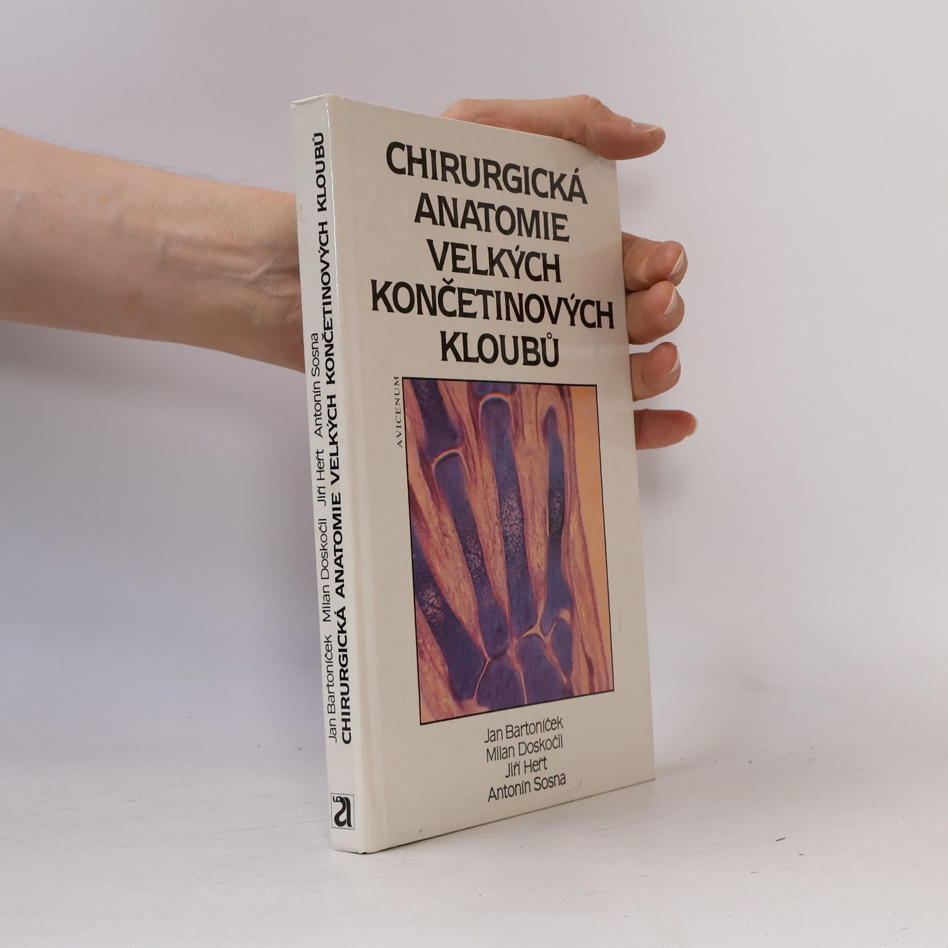 Jan Bartoníček Chirurgická anatomie velkých končetinových kloubů