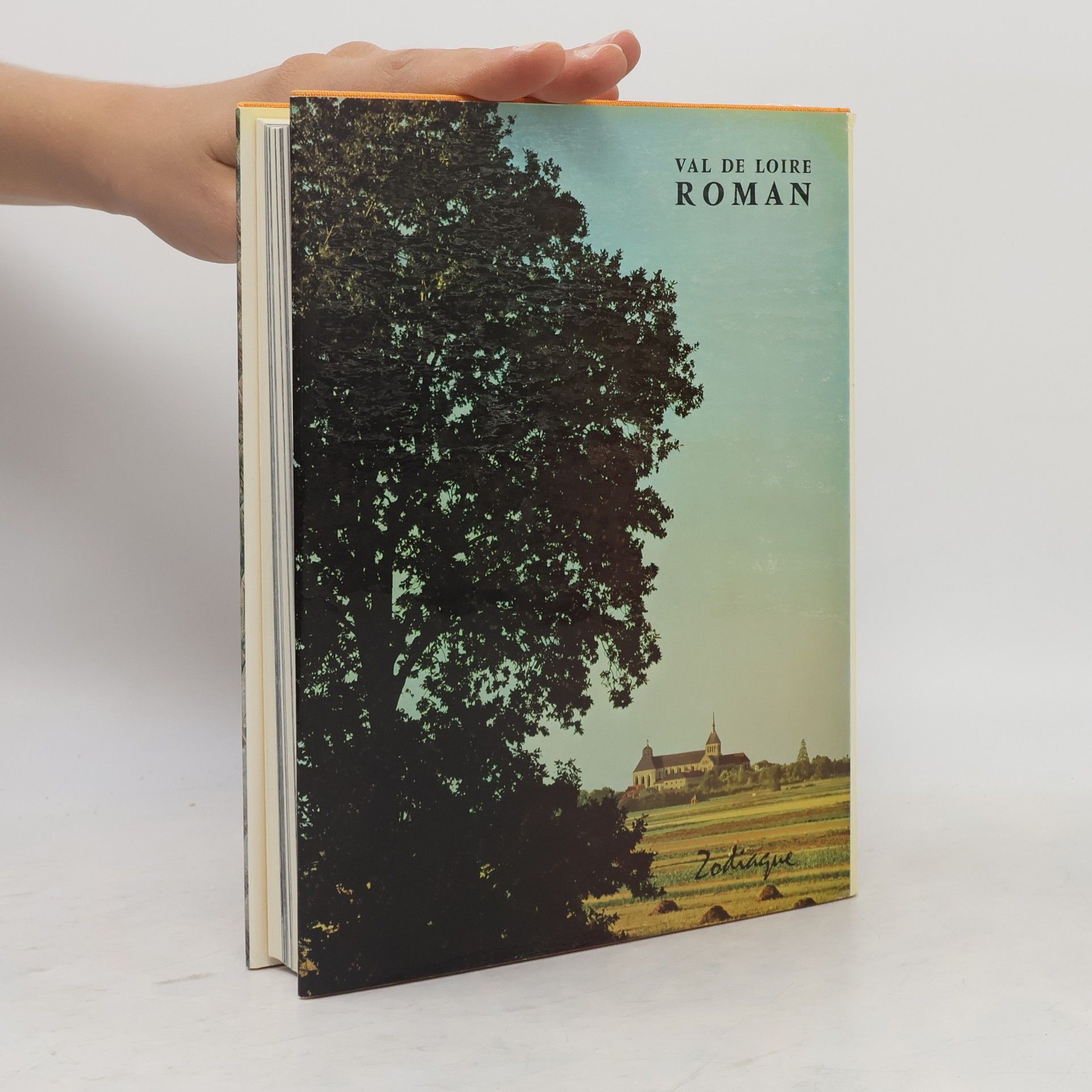 Collectif d'auteurs Val de Loire roman