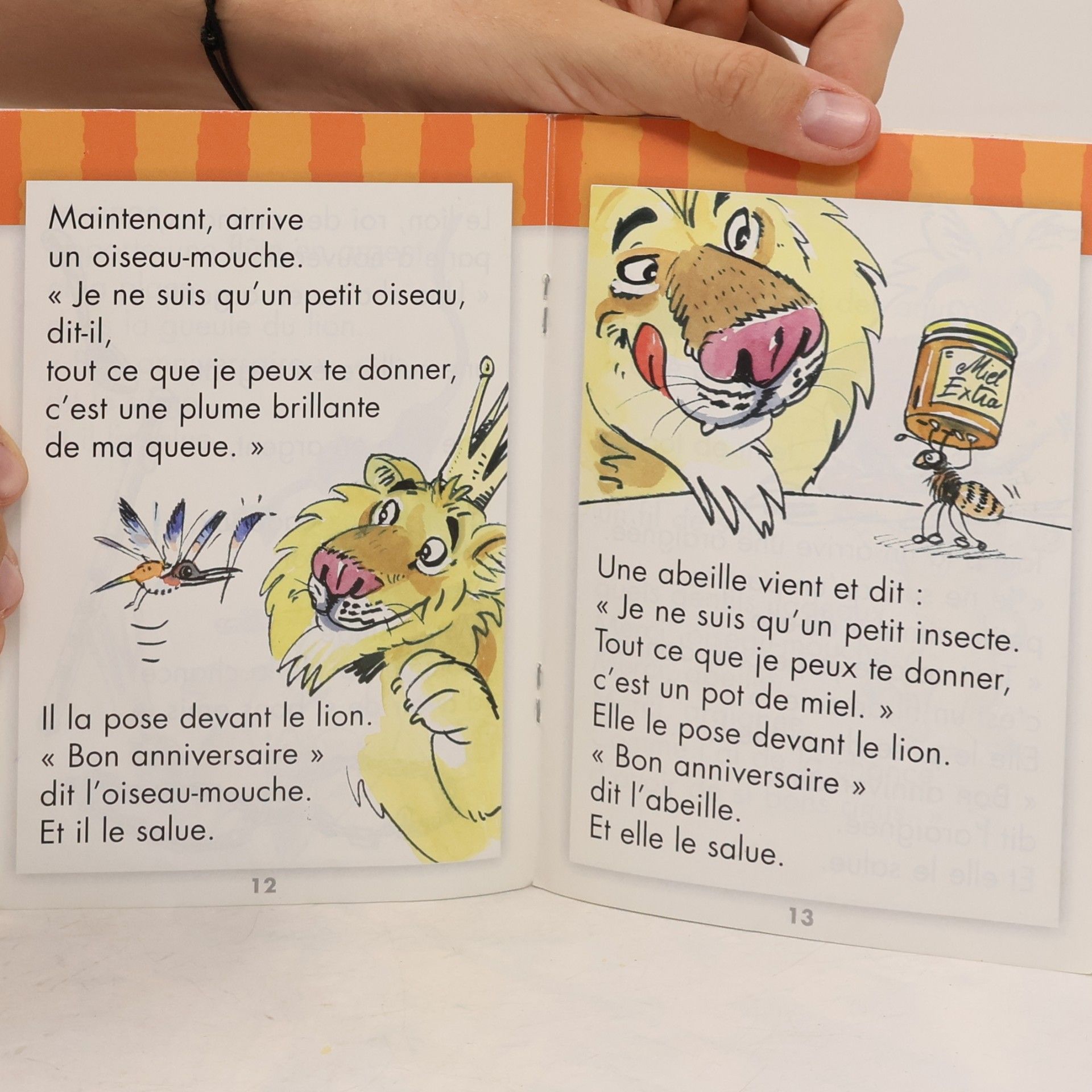 Various authors Le lion, roi des animaux
