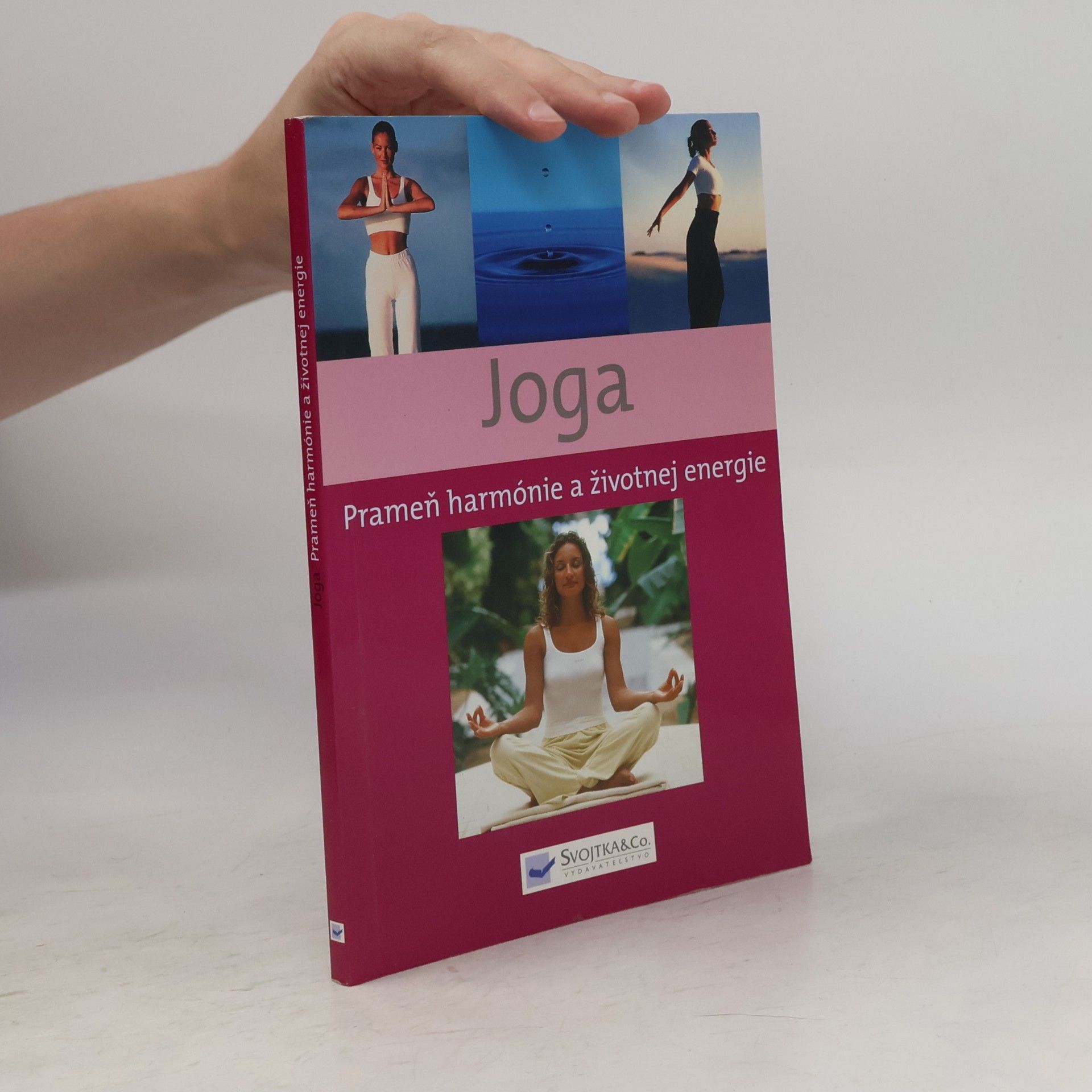 Collectif d'auteurs Jóga