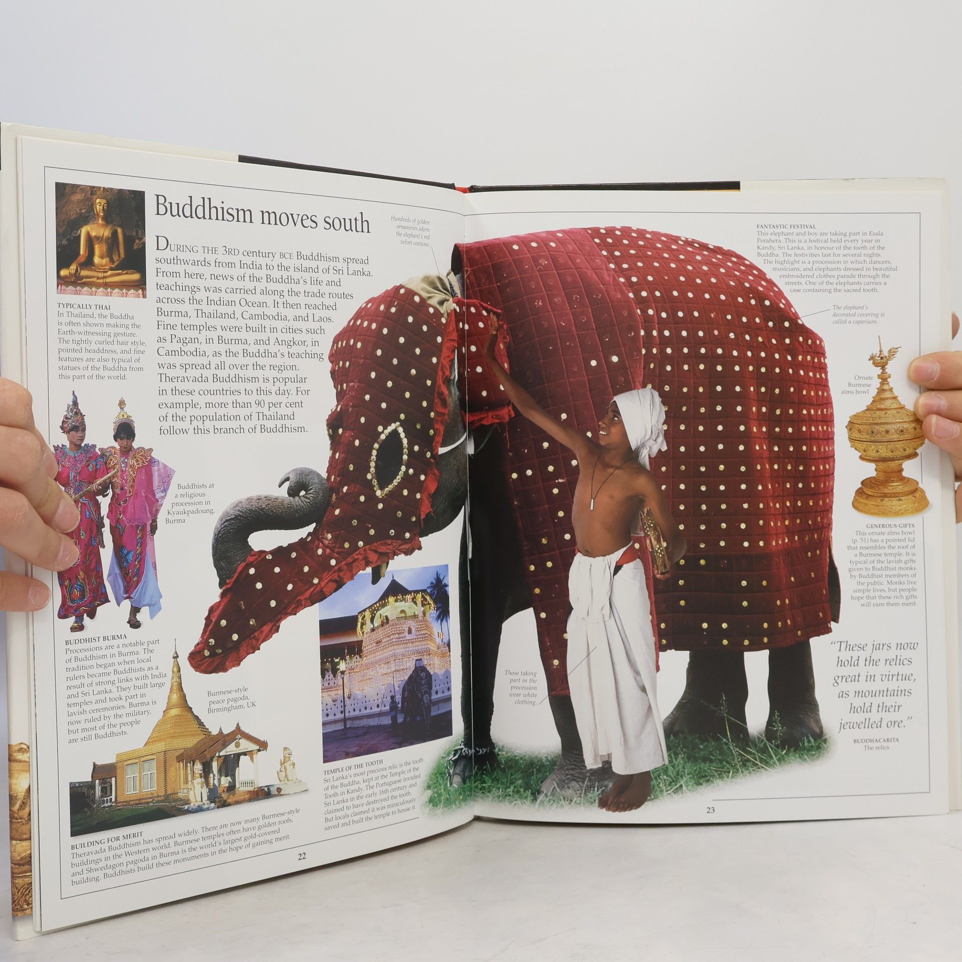 Philip Brooks DK Eyewitness Guides: Buddhism
