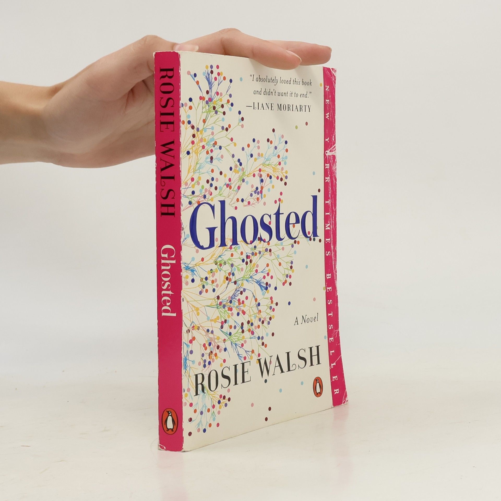 Rosie Walsh Ghosted