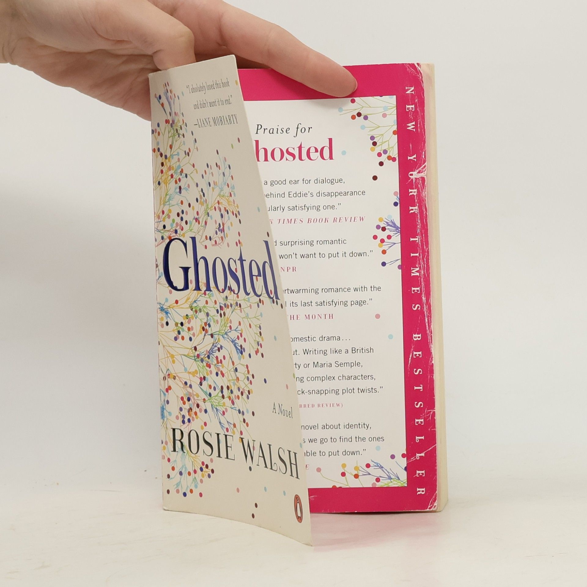 Rosie Walsh Ghosted