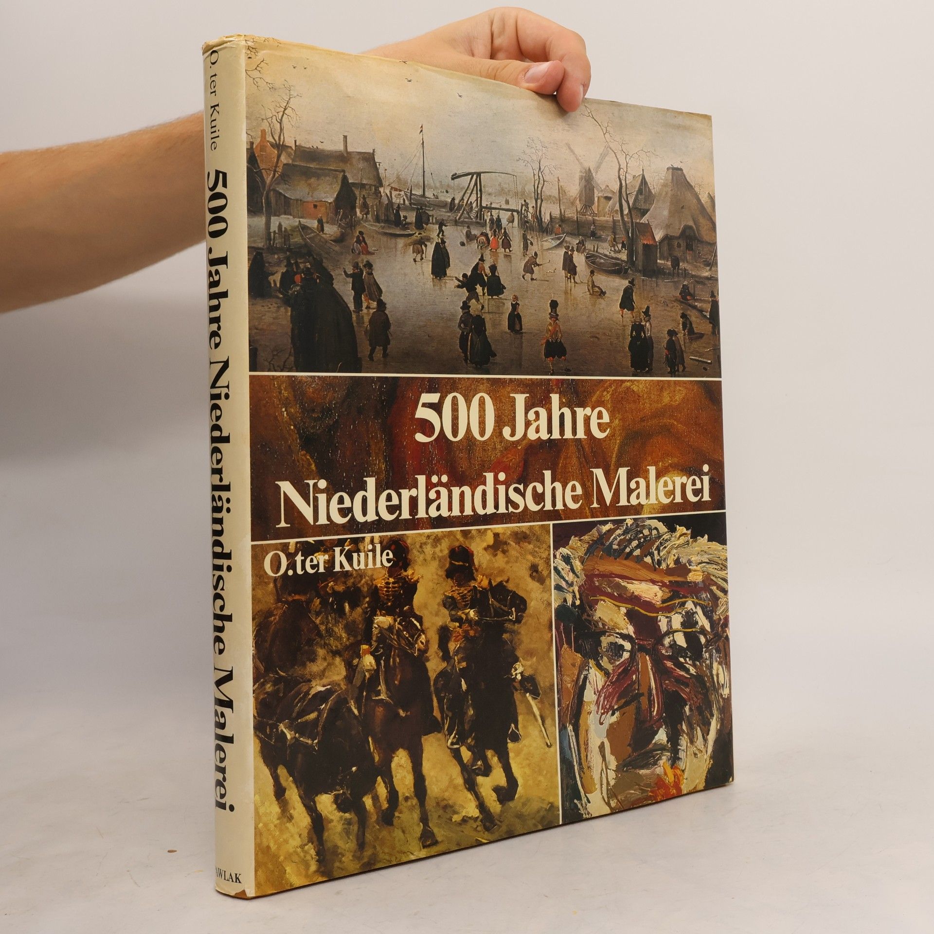 Onno ter Kuile 500 Jahre niederländische Malerei