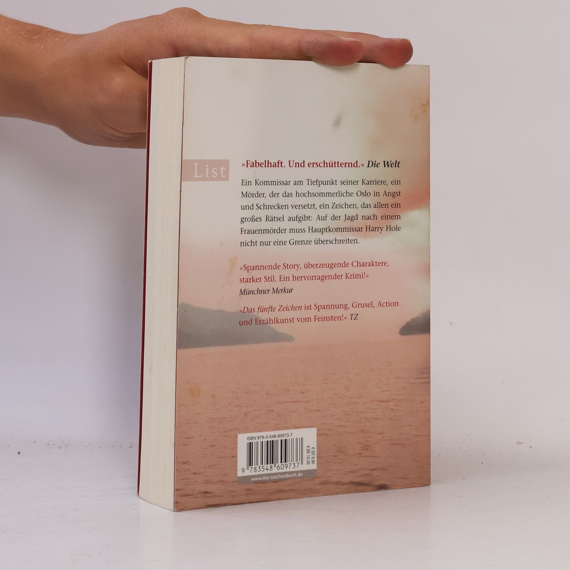 Jo Nesbø Das fünfte Zeichen