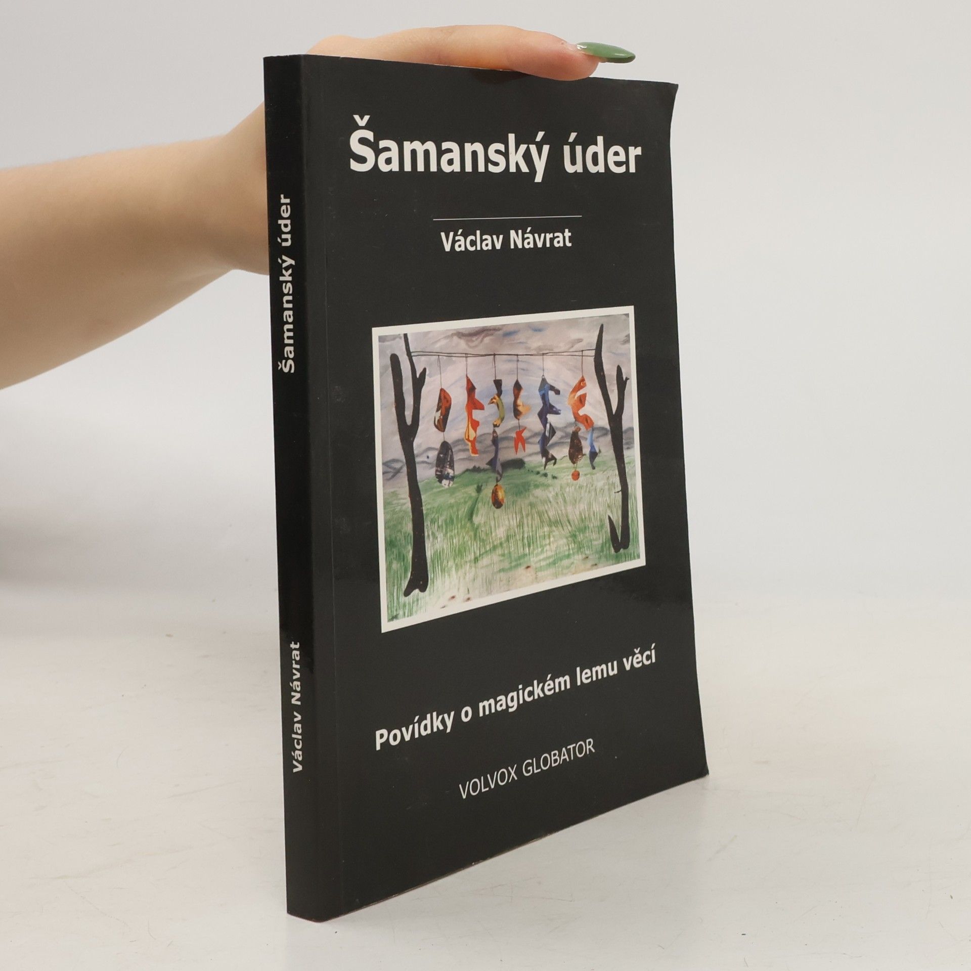 Václav Návrat Šamanský úder