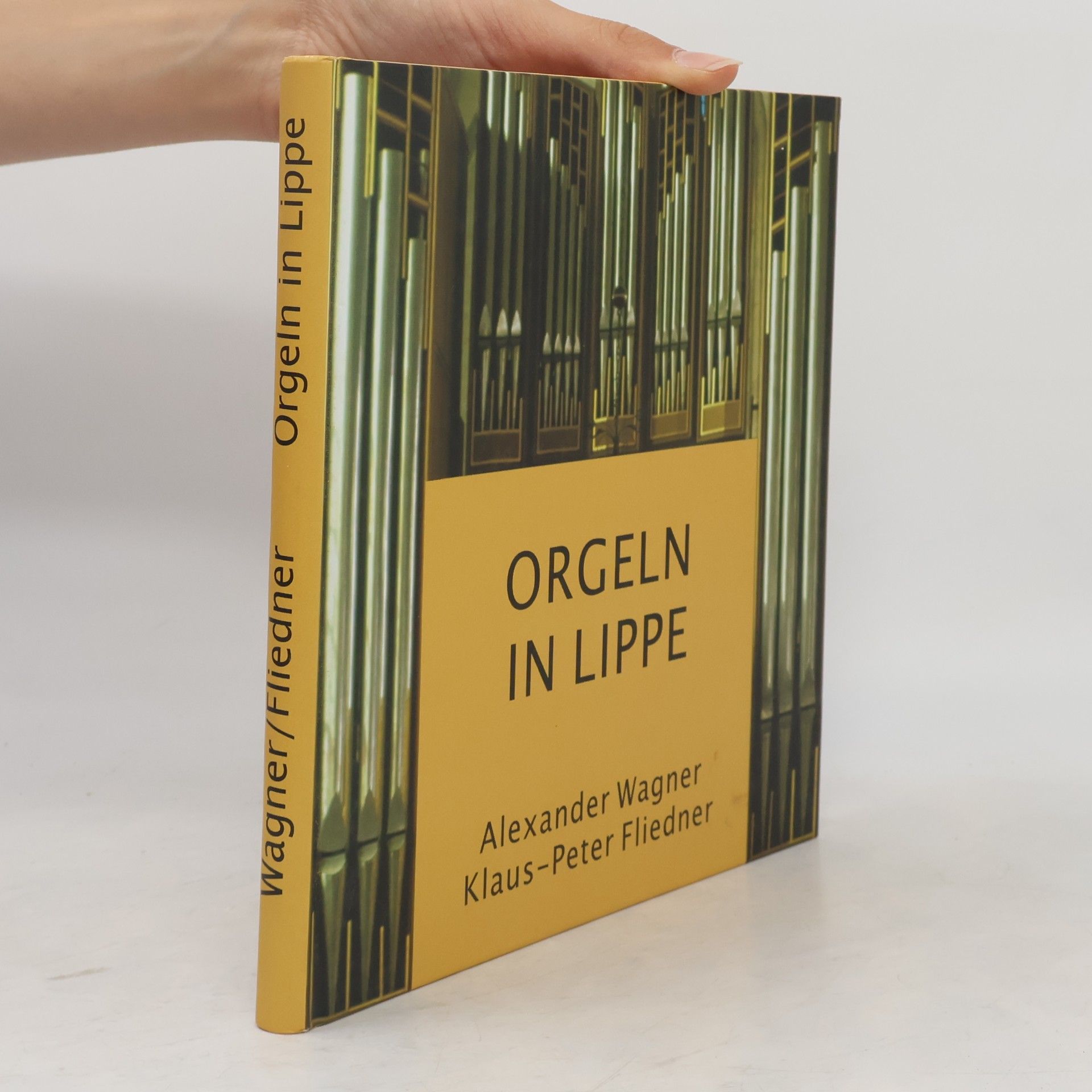Alexander Wagner Orgeln in Lippe