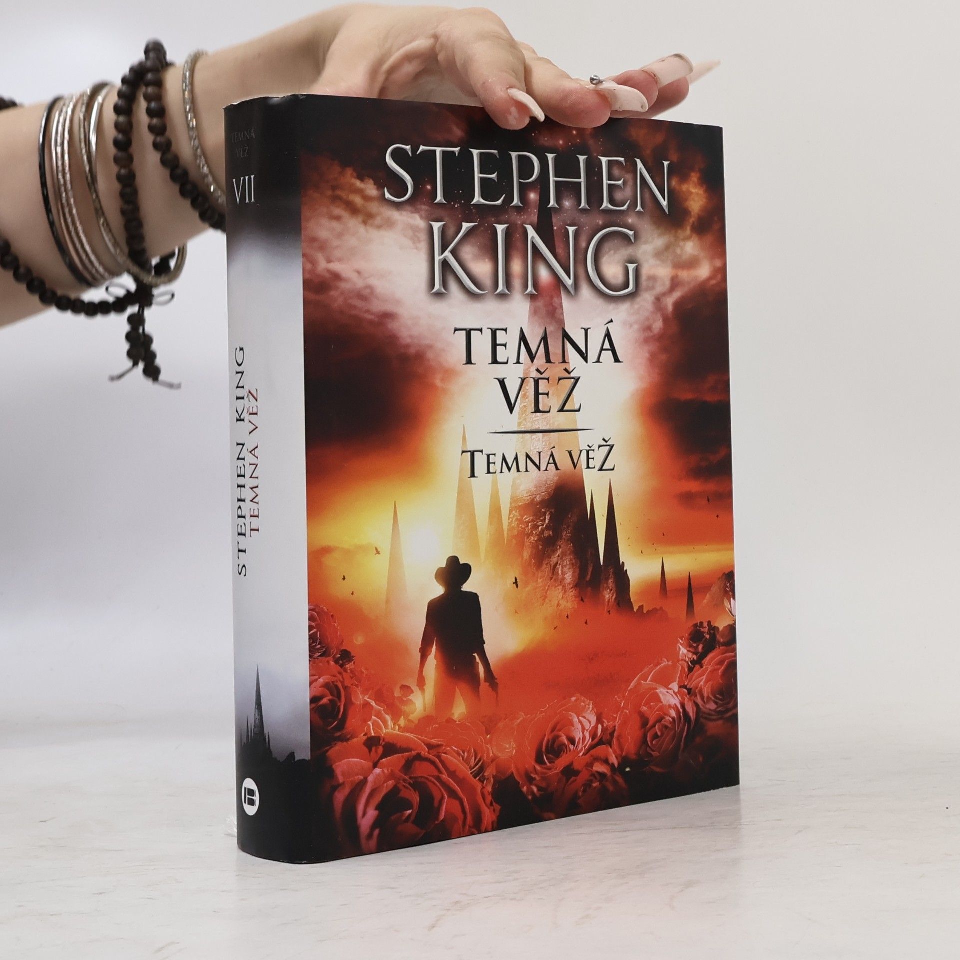 Stephen King Temná věž: Temná věž