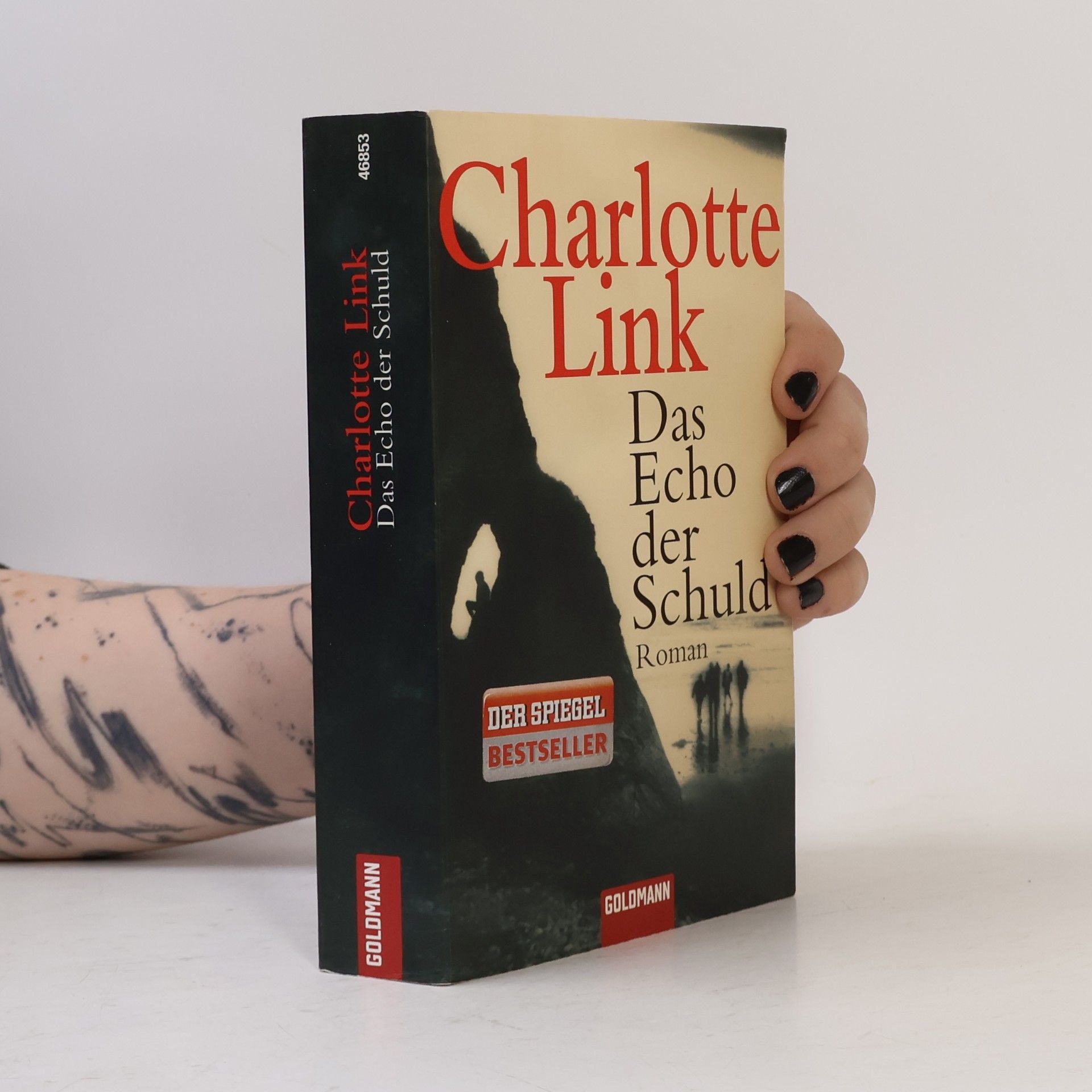 Charlotte Link Das Echo der Schuld