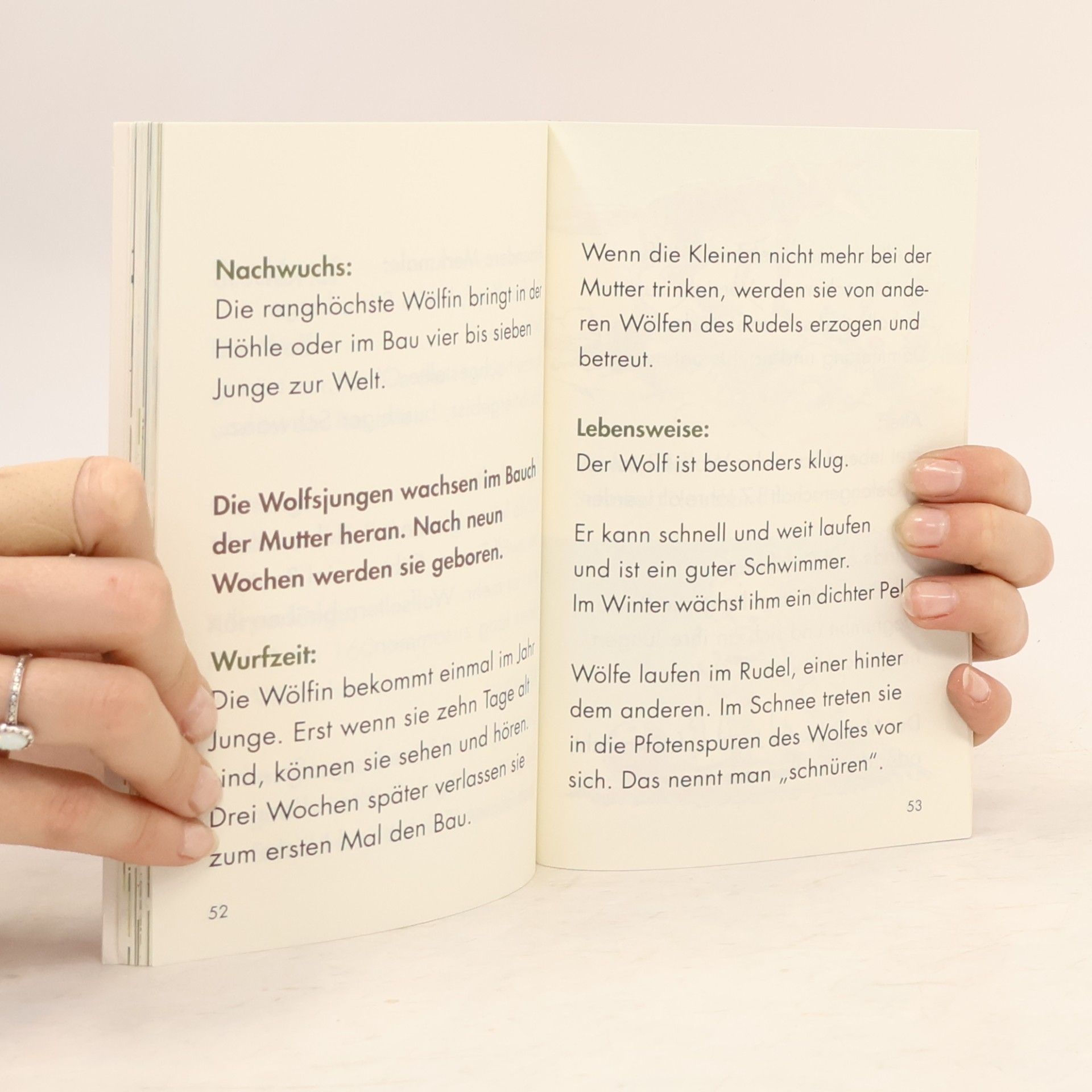 Christine Rettl Gut geheult, kleiner Wolf
