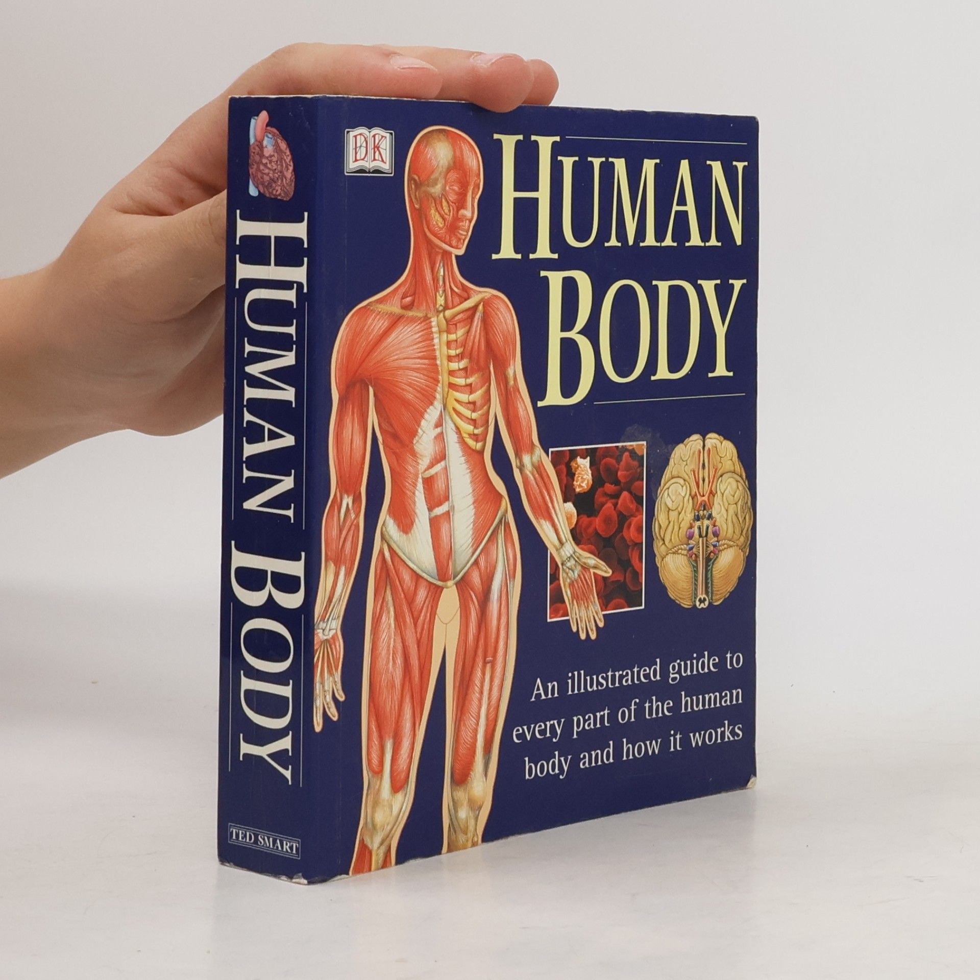Autorenkollektiv Human Body