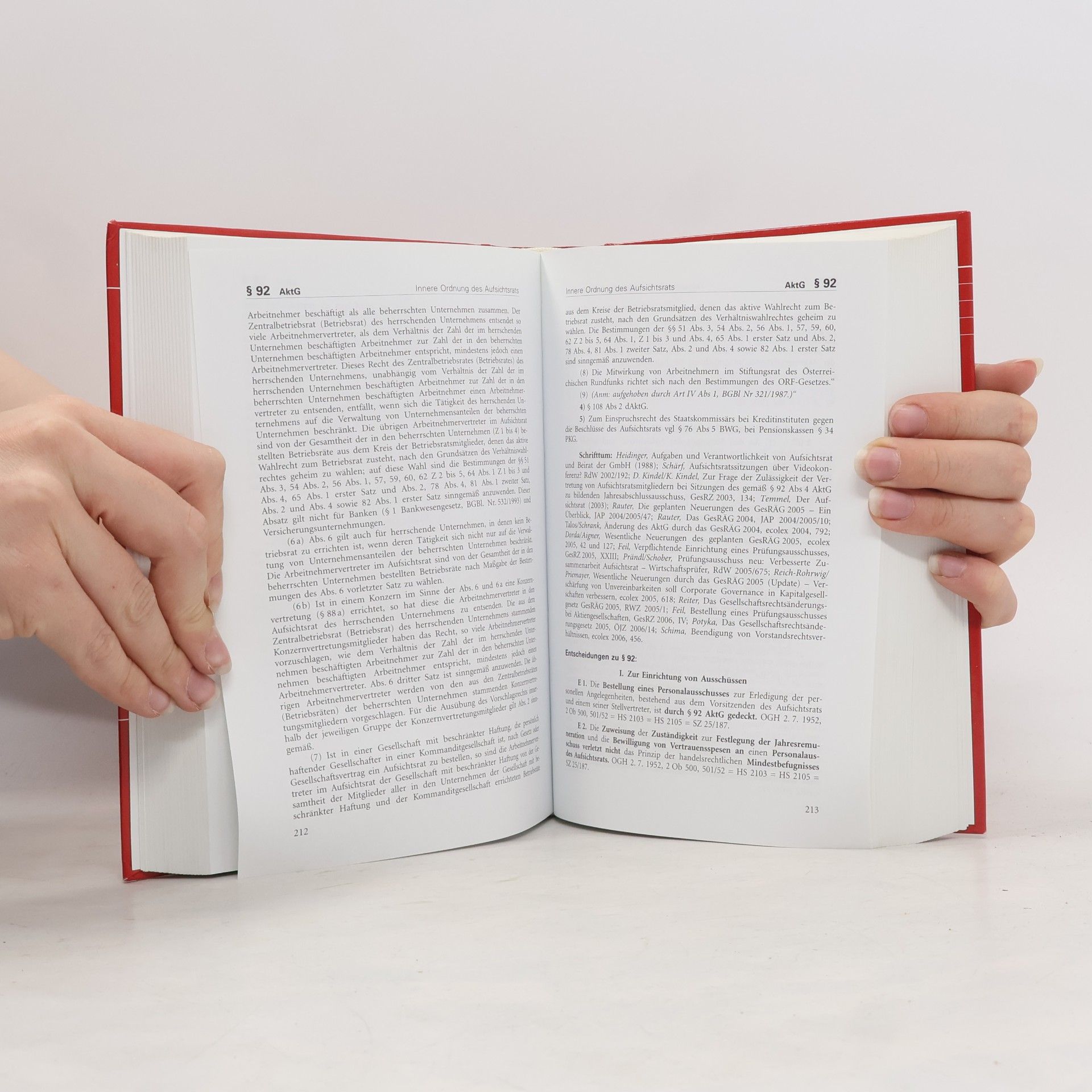 Markus Heidinger Aktiengesetz - Große Gesetzausgabe