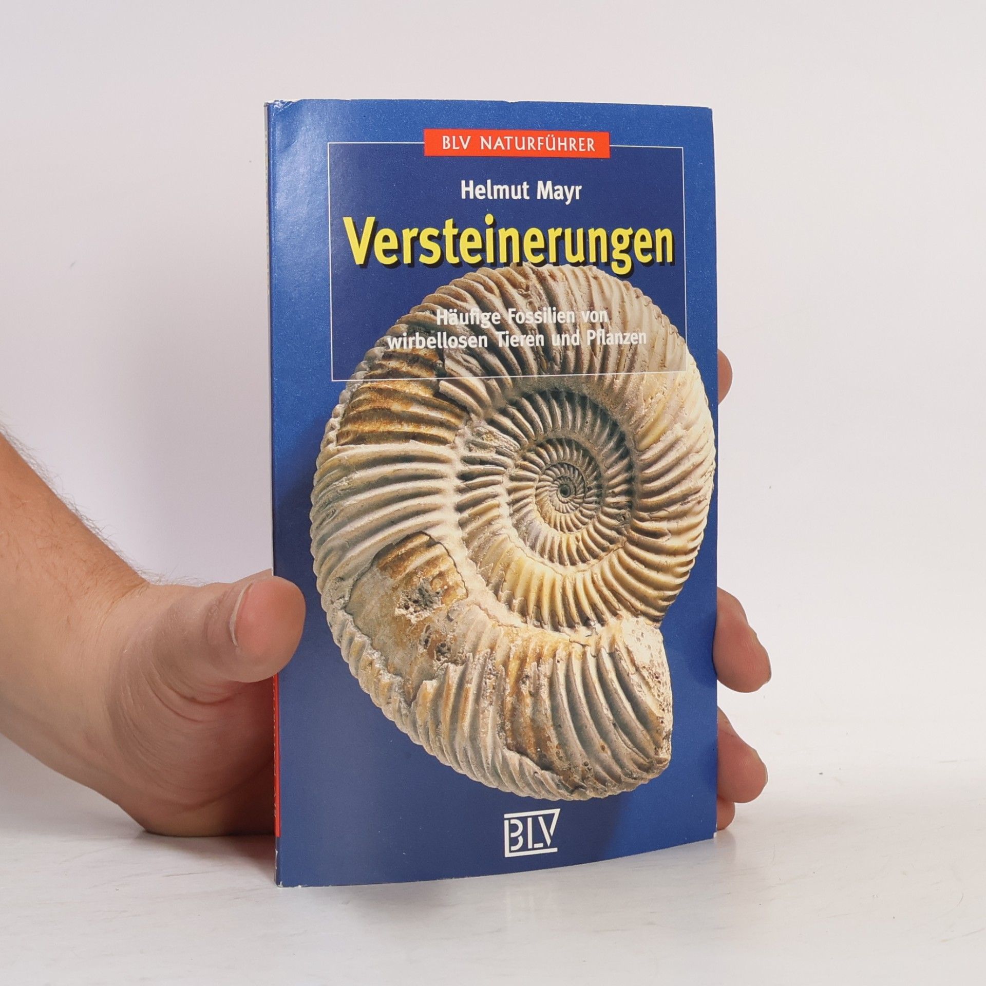 Helmut Mayr Versteinerungen