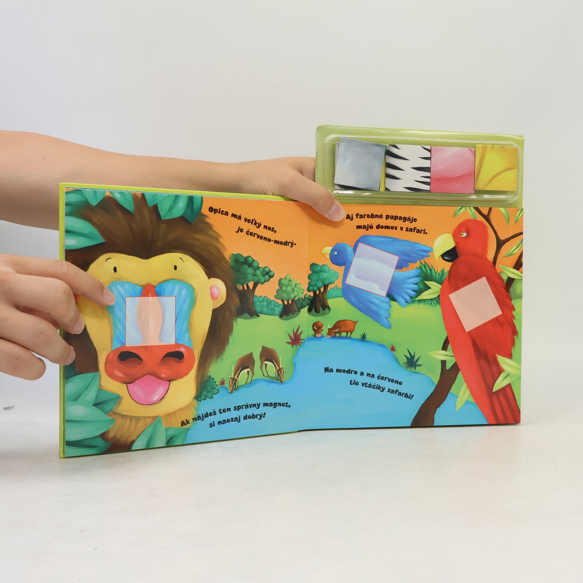 Erin Ranson Magnetic Books: Magnetic Colour Safari