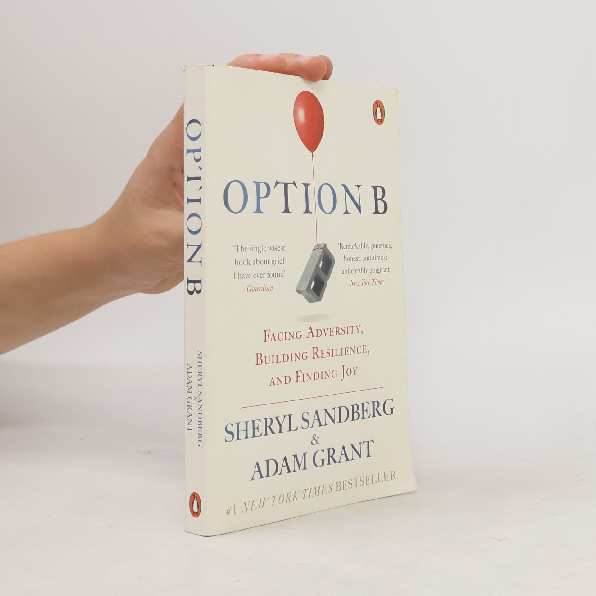 Sheryl Sandberg Option B