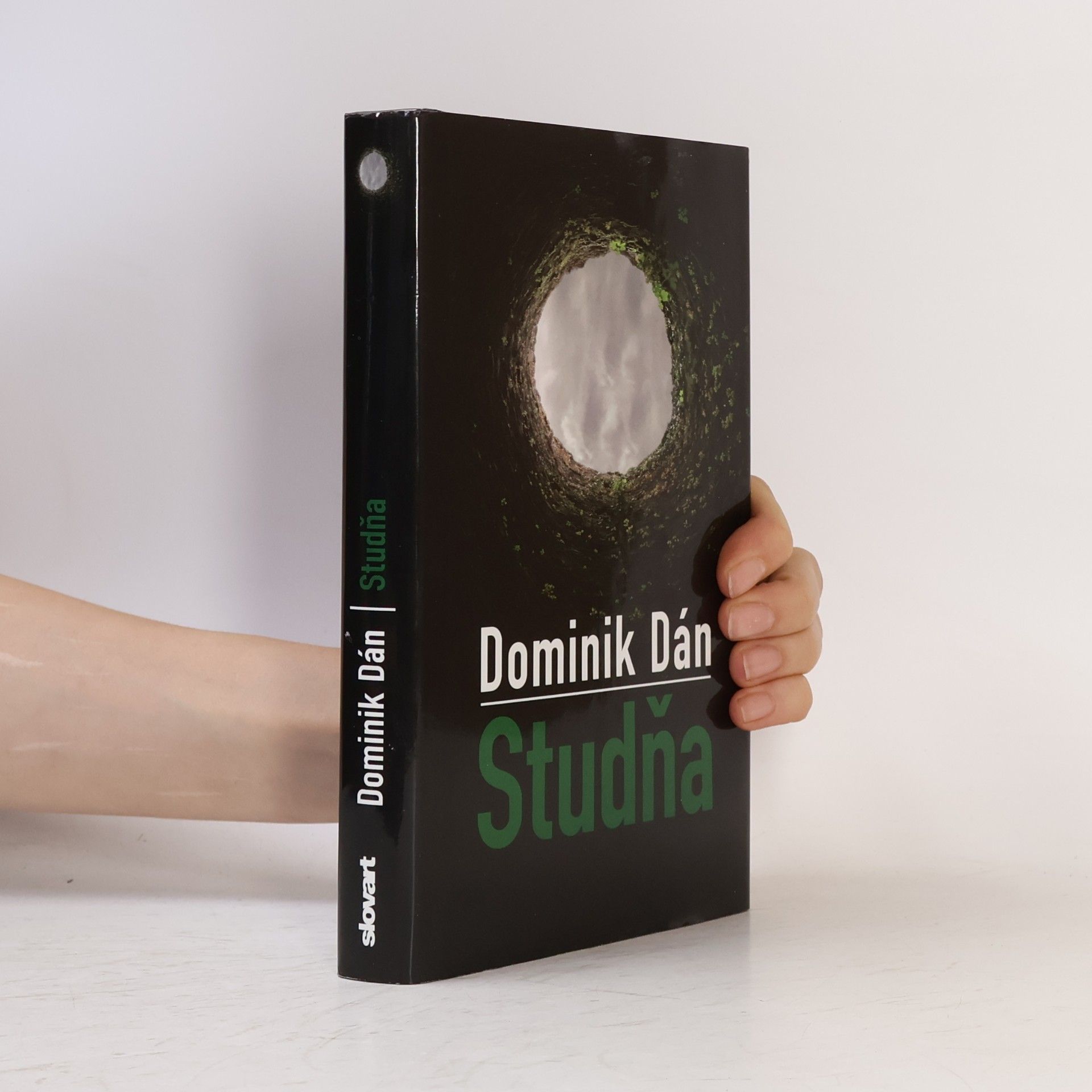 Dominik Dán Studňa
