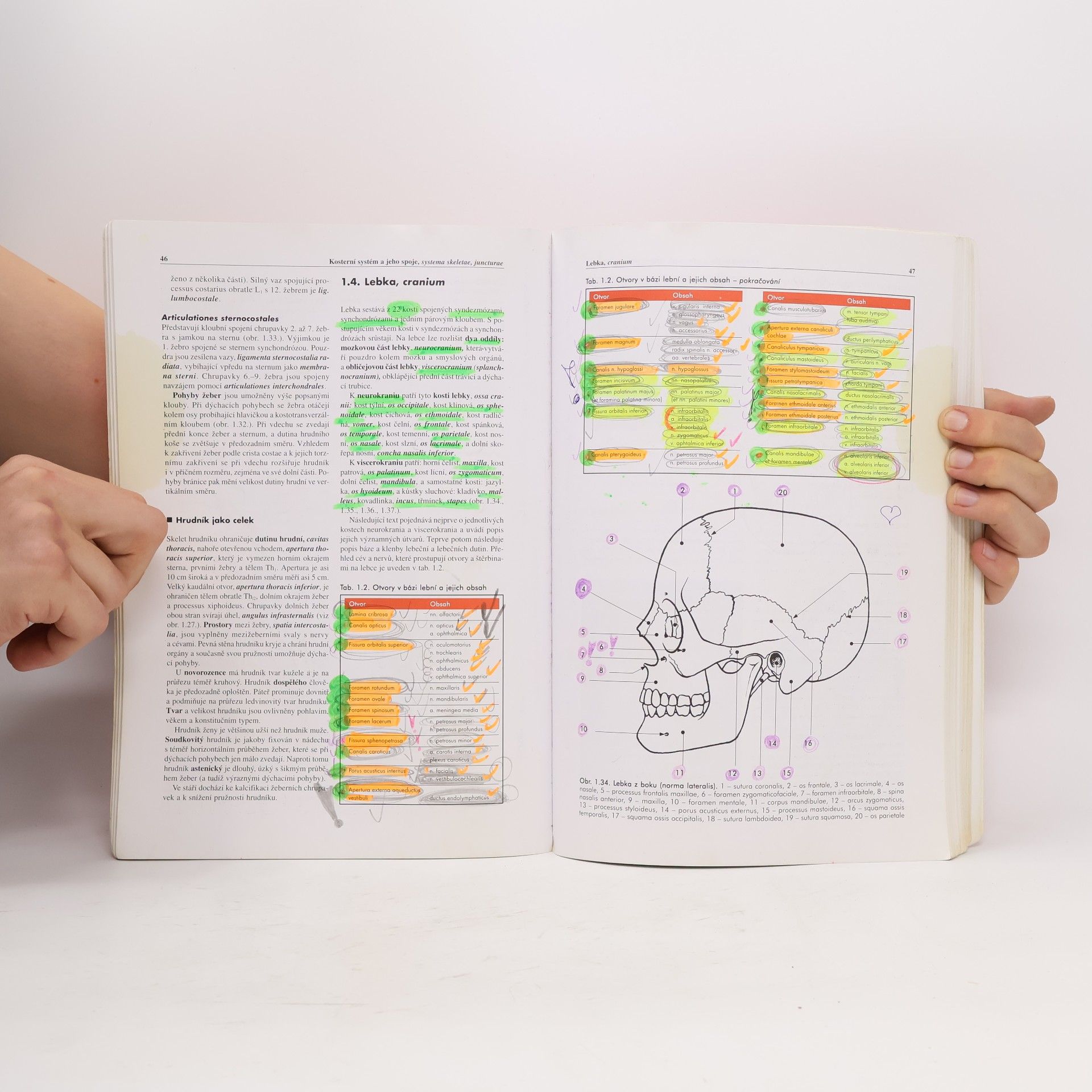 Miloš Grim Základy anatomie 1. Obecná anatomie a pohybový systém
